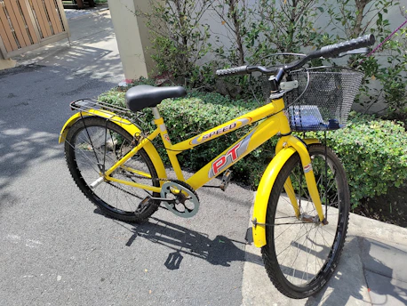 A stylish bicycle parked beside a sunny garden path, ready for a ride.