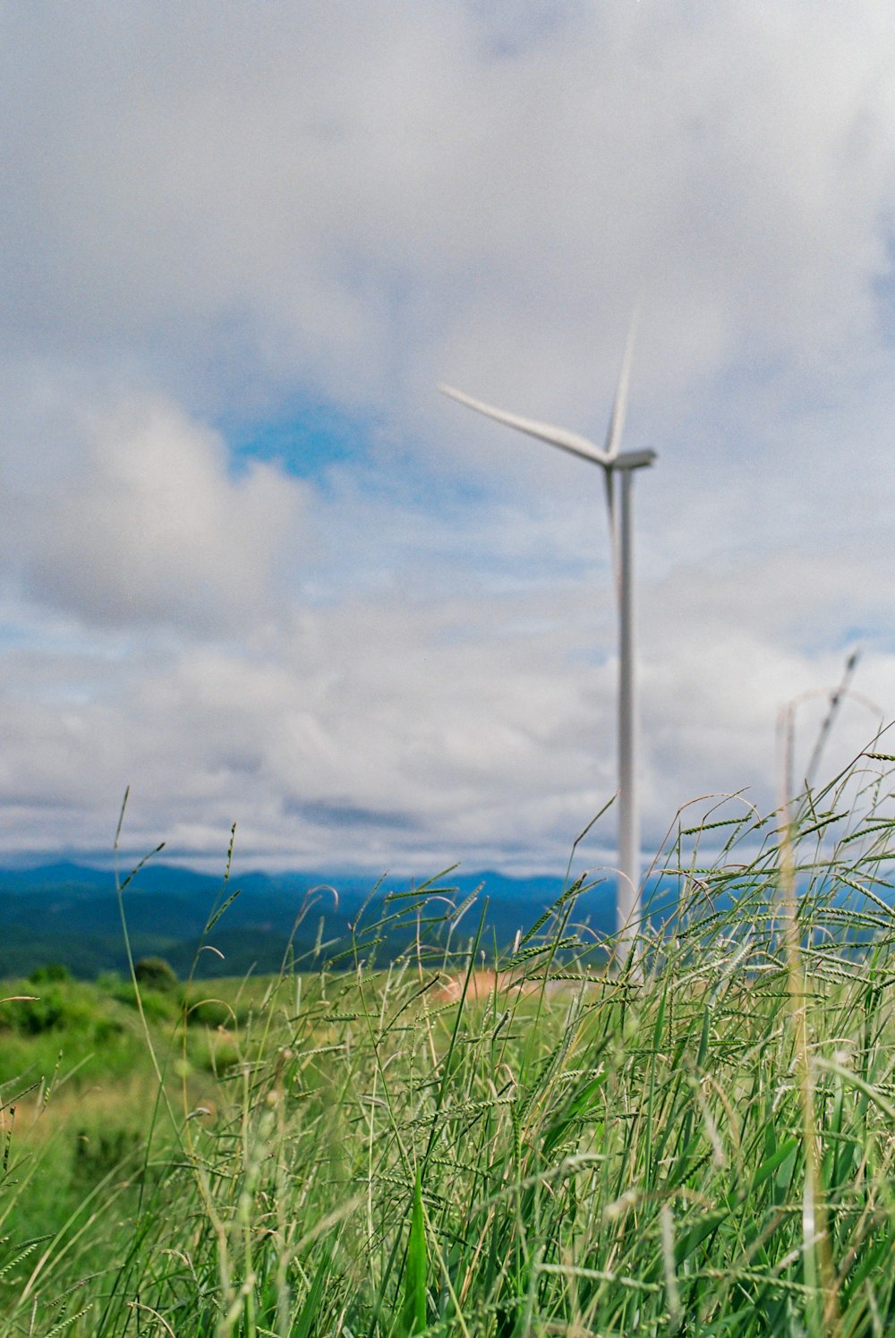 a wind turbine in a field of tall grass