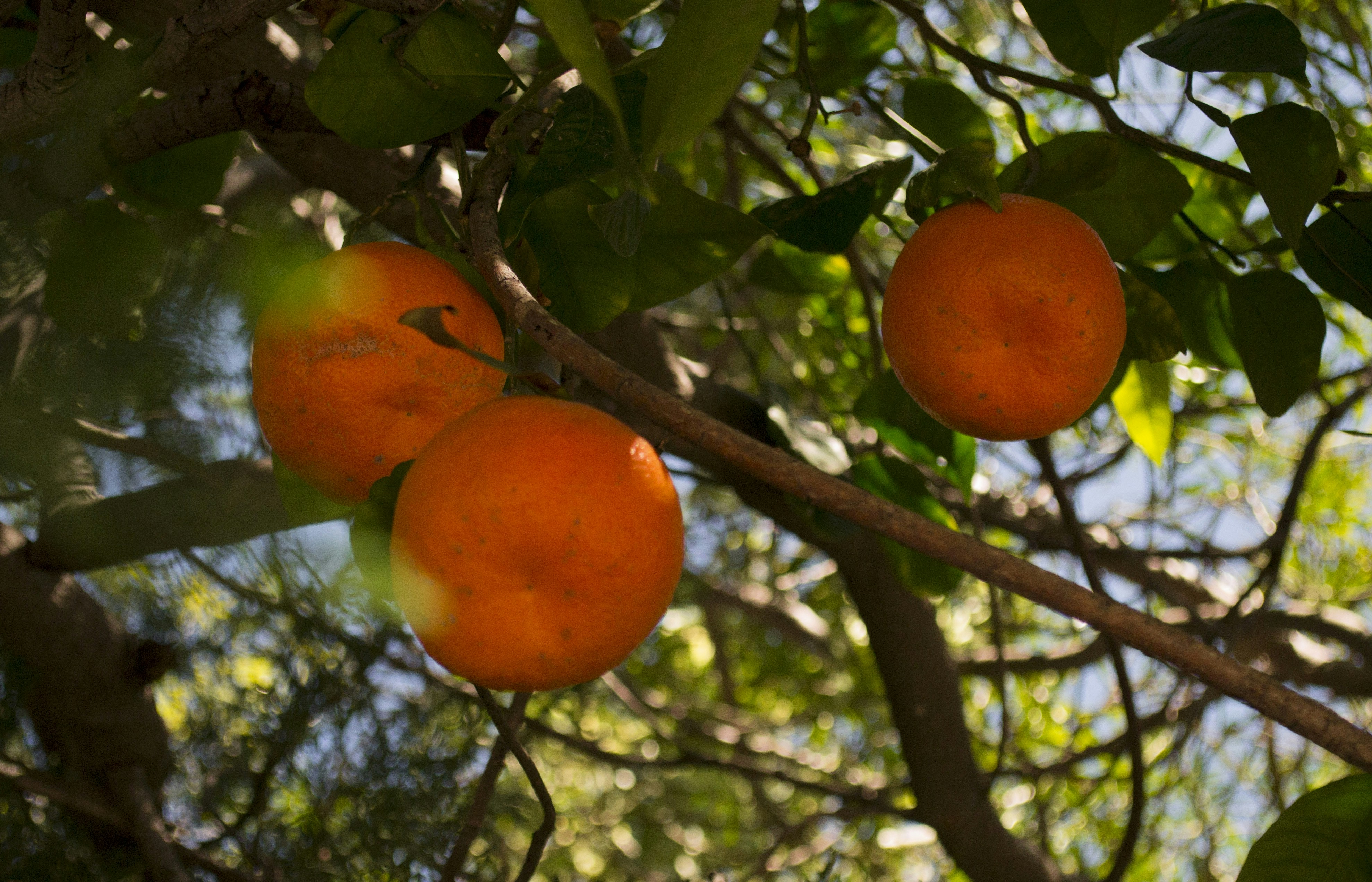 Photo by reggie_tmin