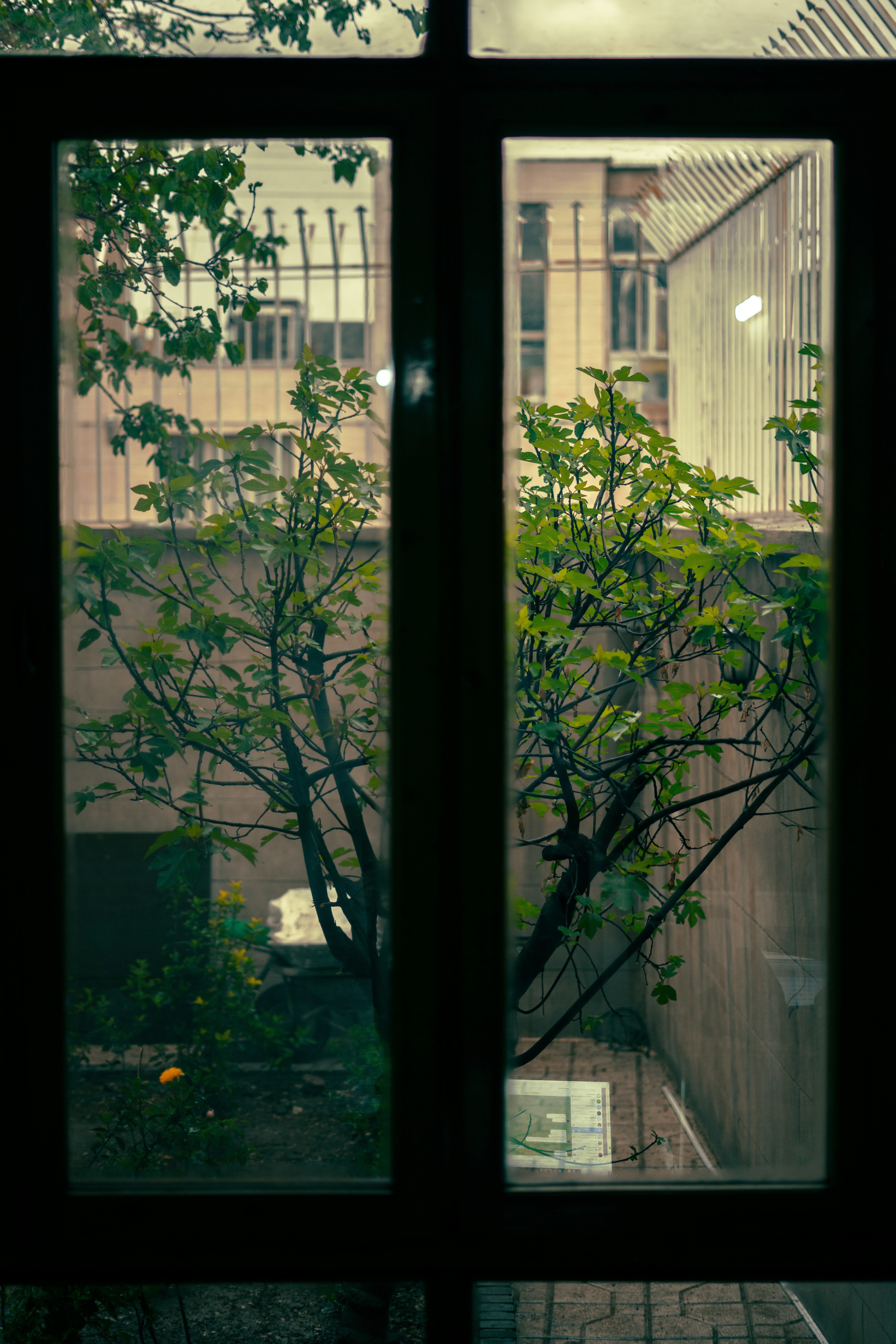 Photo by mohsenamerri