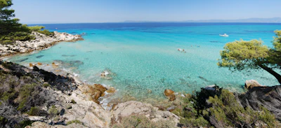 A clear turquoise beach fringed with pines in Halkidiki