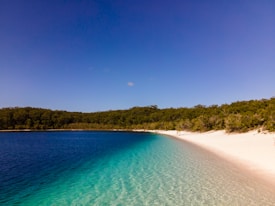 A serene beach with clear turquoise water, bordered by a white sandy shore. Lush green forest lines the horizon under a vibrant blue sky, creating a tranquil and picturesque scene.