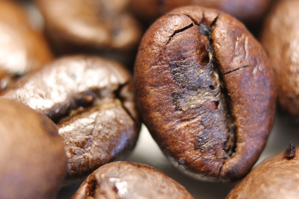 a close up of coffee beans on a table
