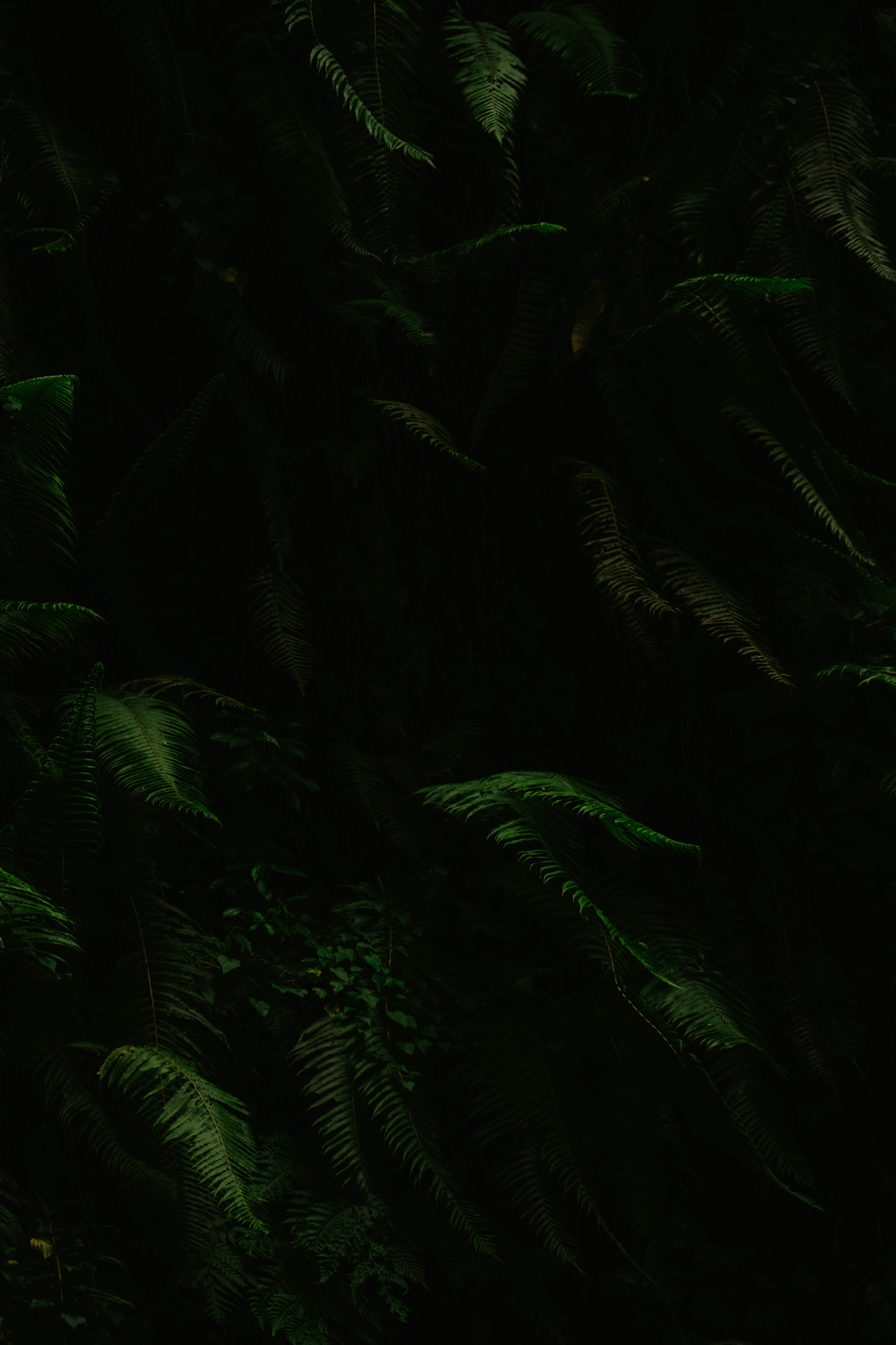 Photo by utunzajiwamazingira