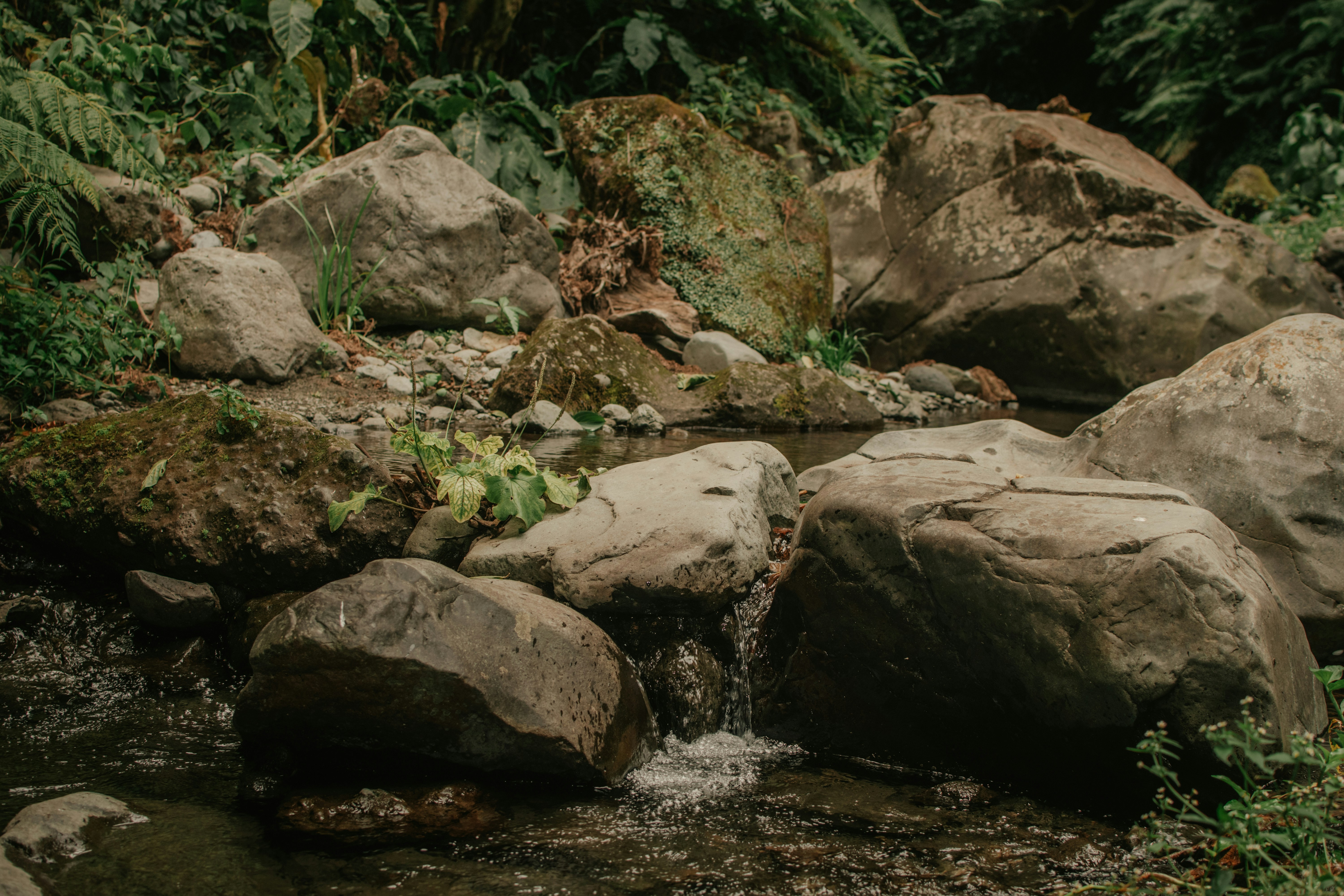 Photo by utunzajiwamazingira