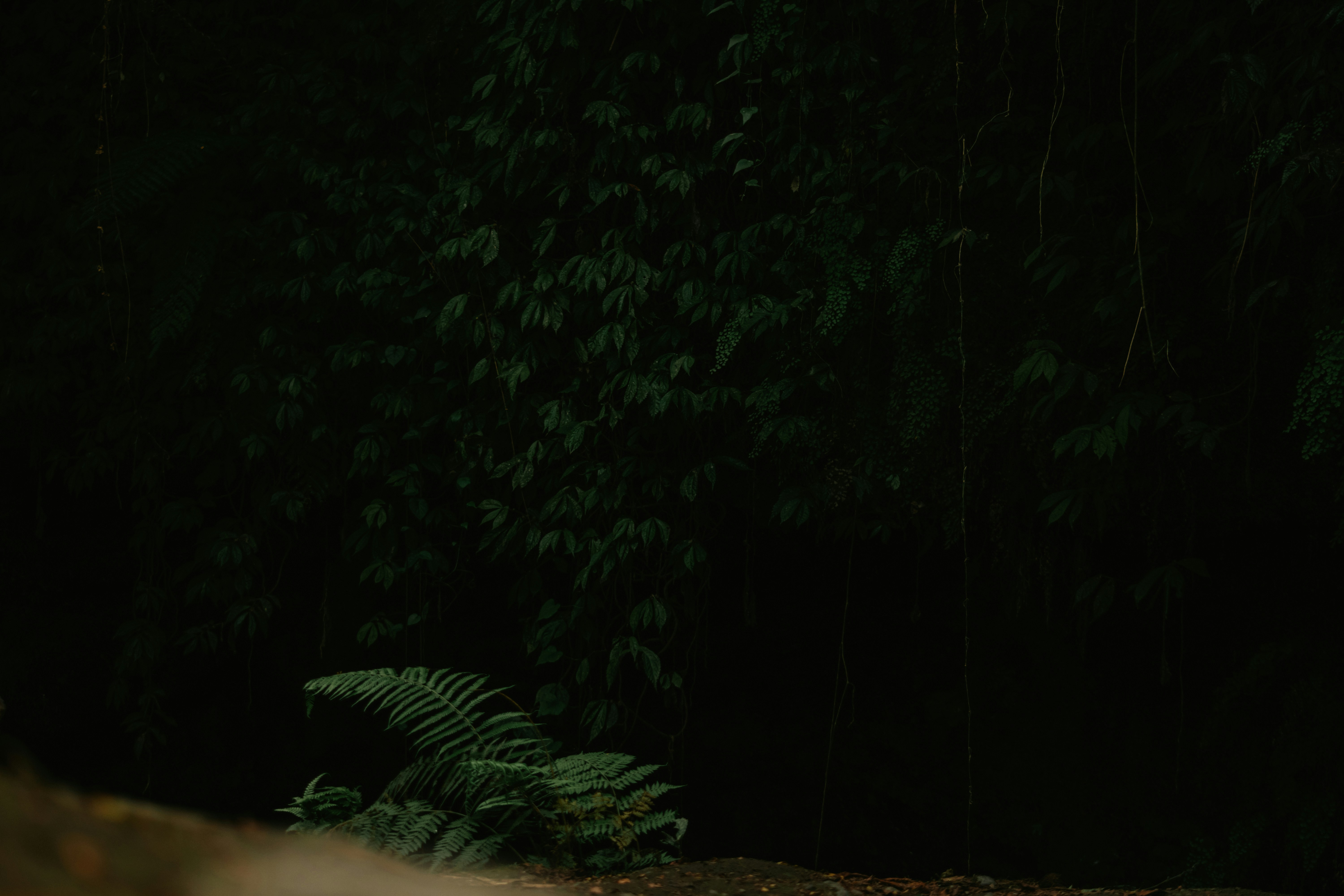 Photo by utunzajiwamazingira