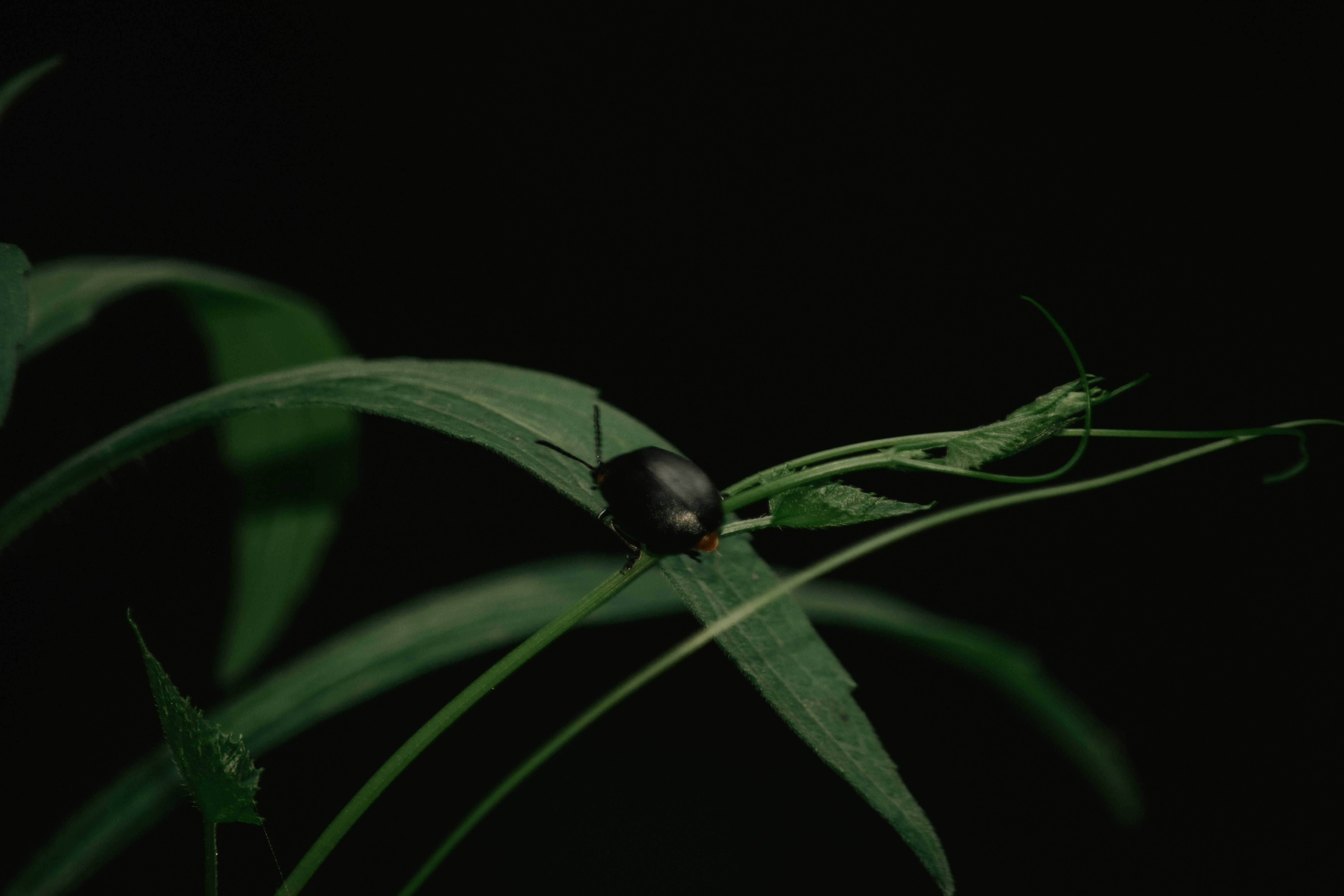 Photo by utunzajiwamazingira