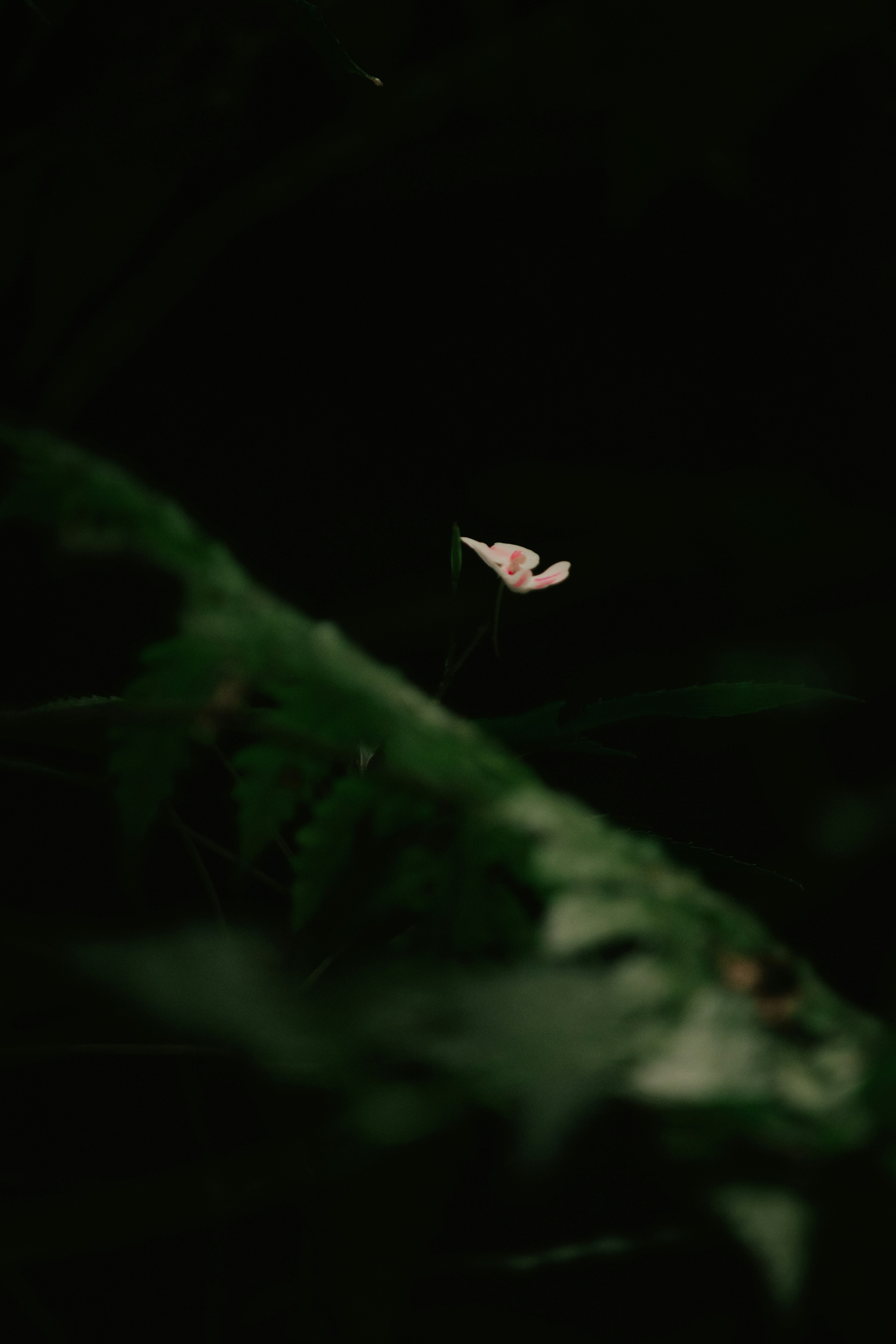 Photo by utunzajiwamazingira