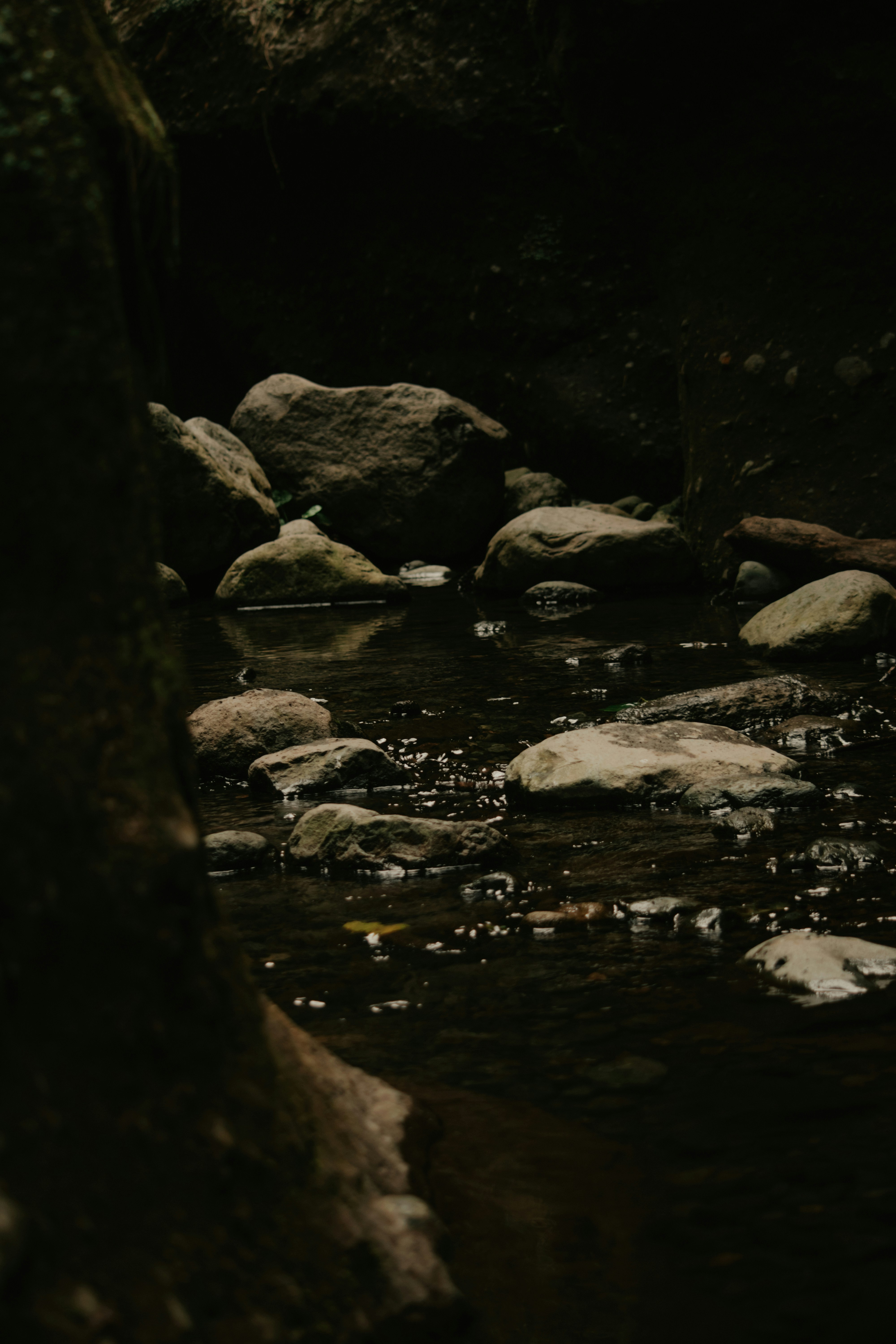 Photo by utunzajiwamazingira