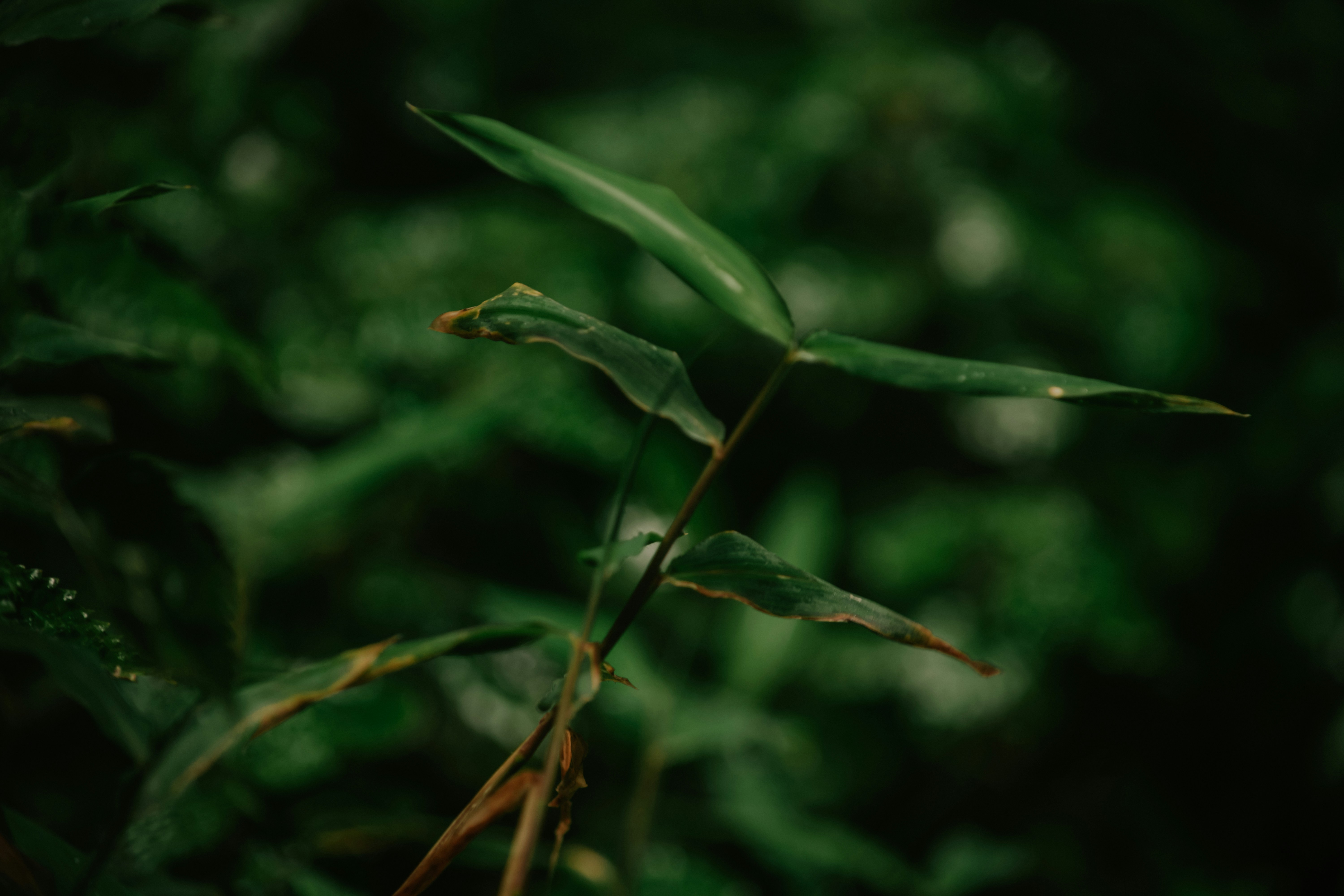 Photo by utunzajiwamazingira