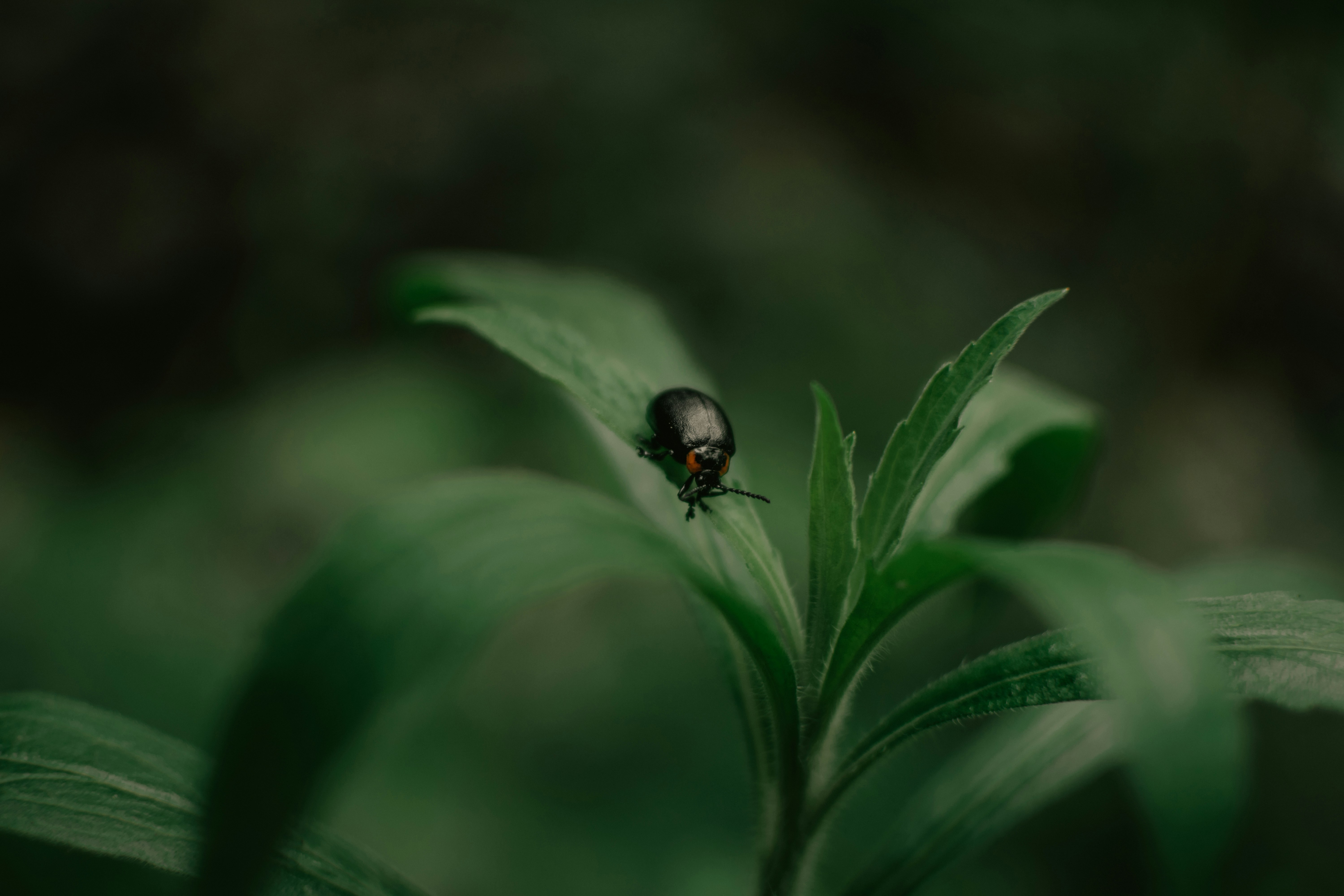 Photo by utunzajiwamazingira