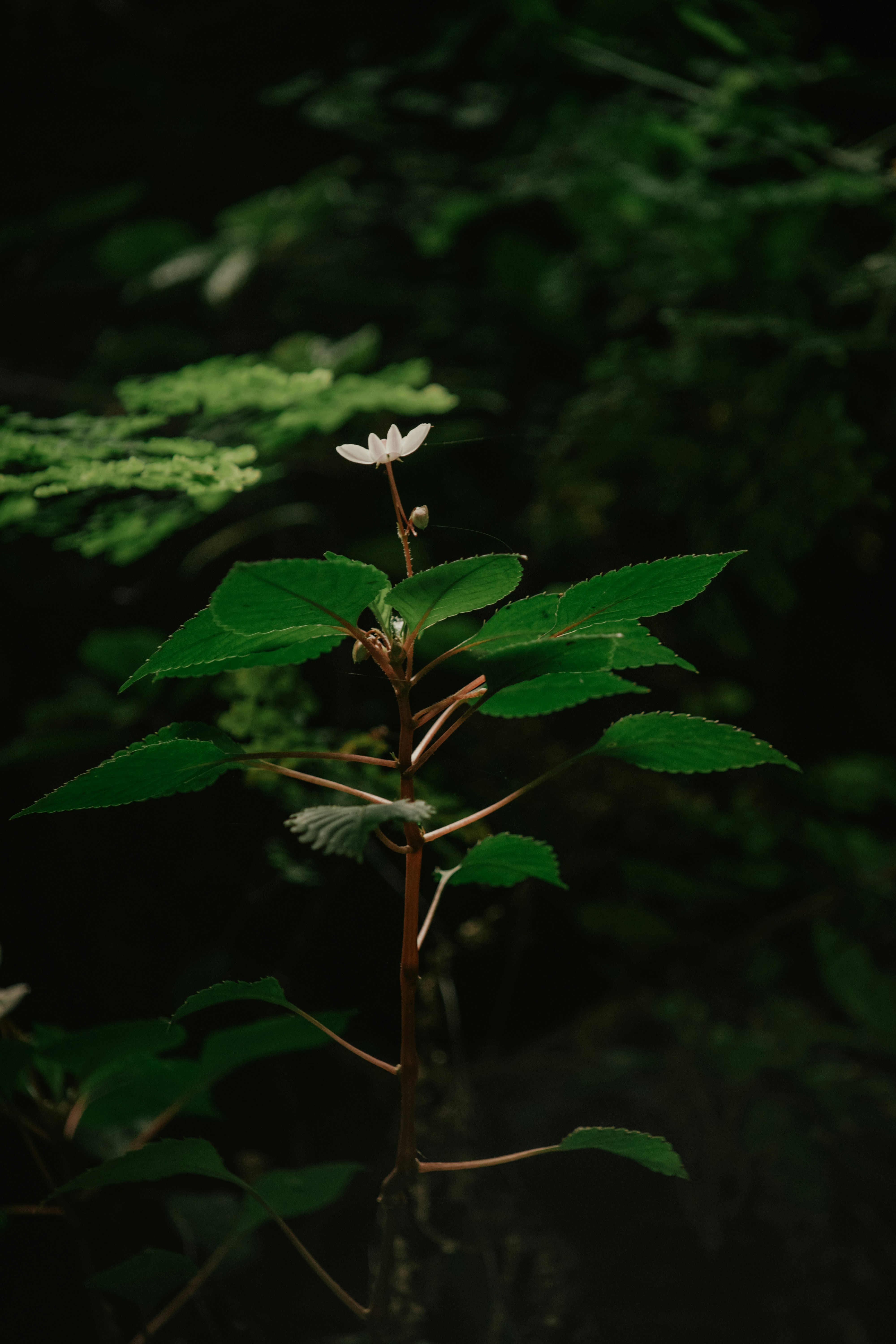 Photo by utunzajiwamazingira