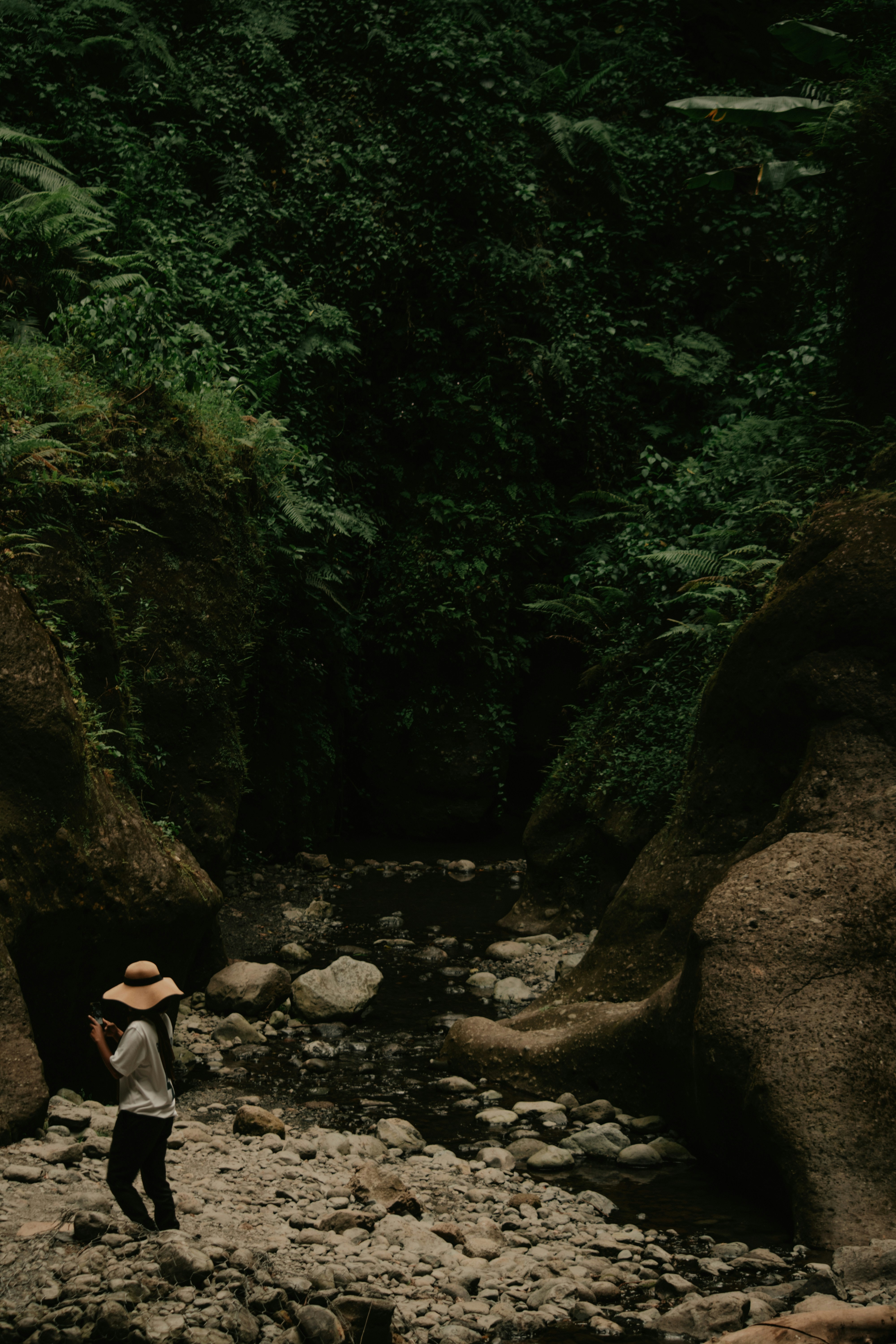 Photo by utunzajiwamazingira