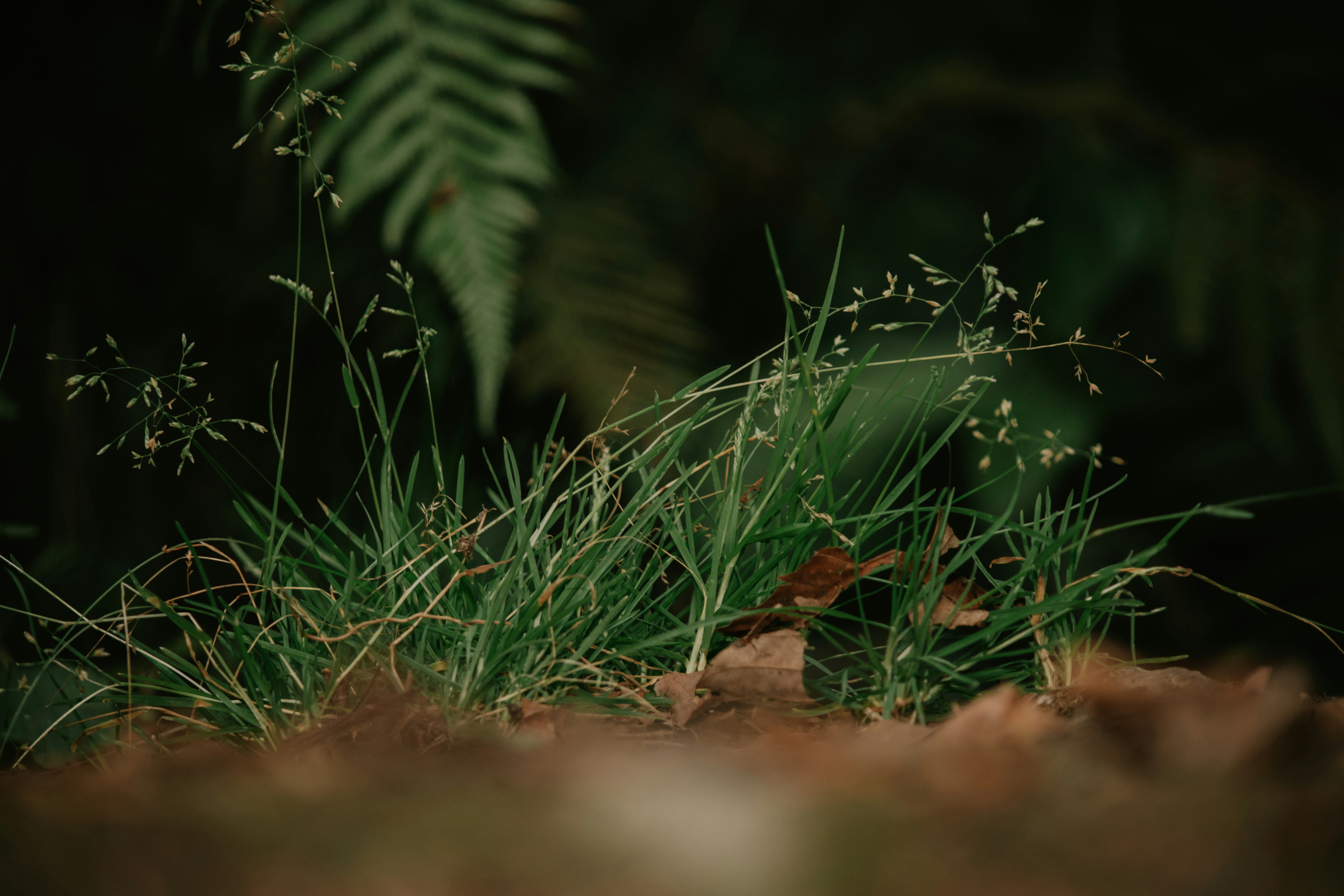 Photo by utunzajiwamazingira