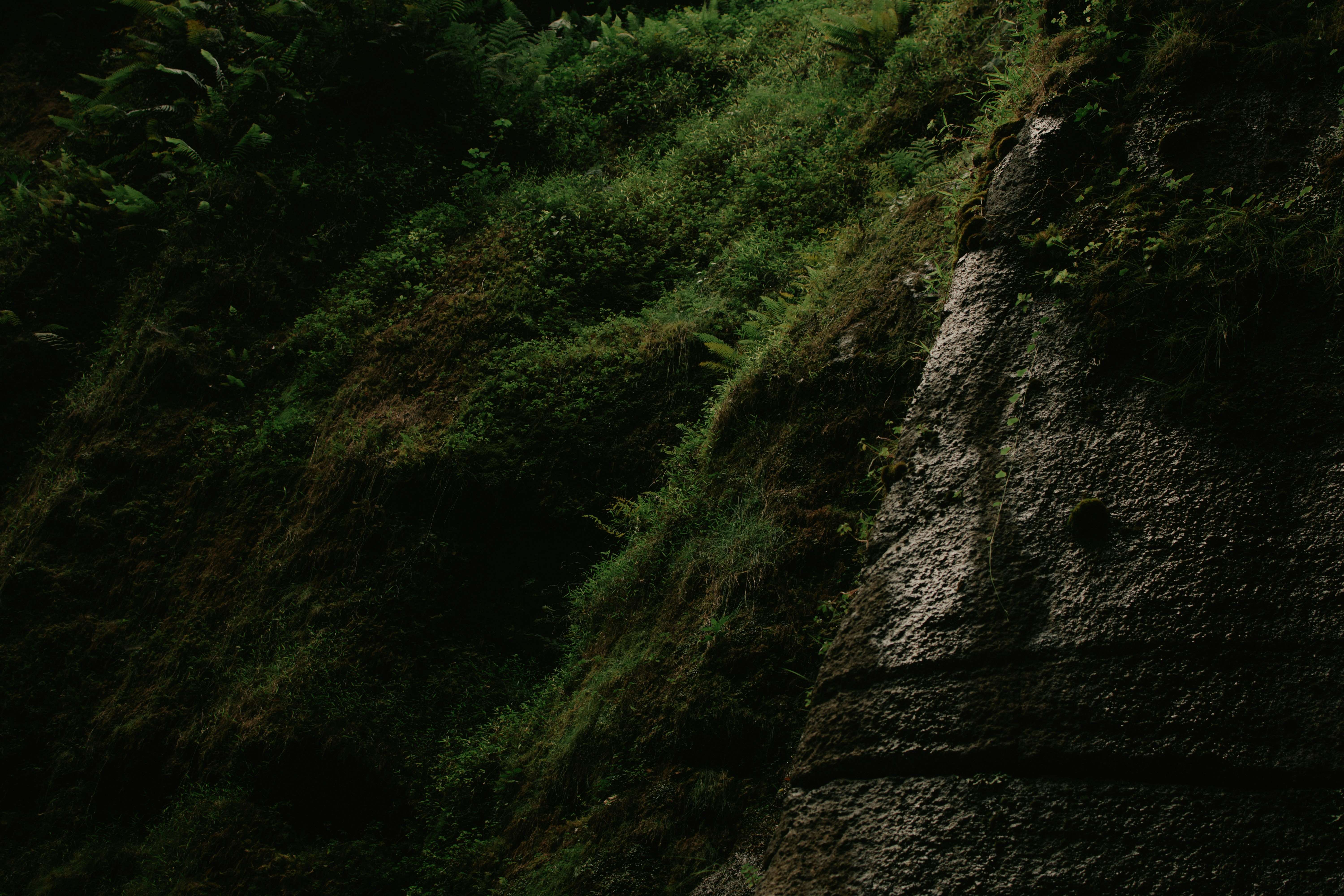 Photo by utunzajiwamazingira