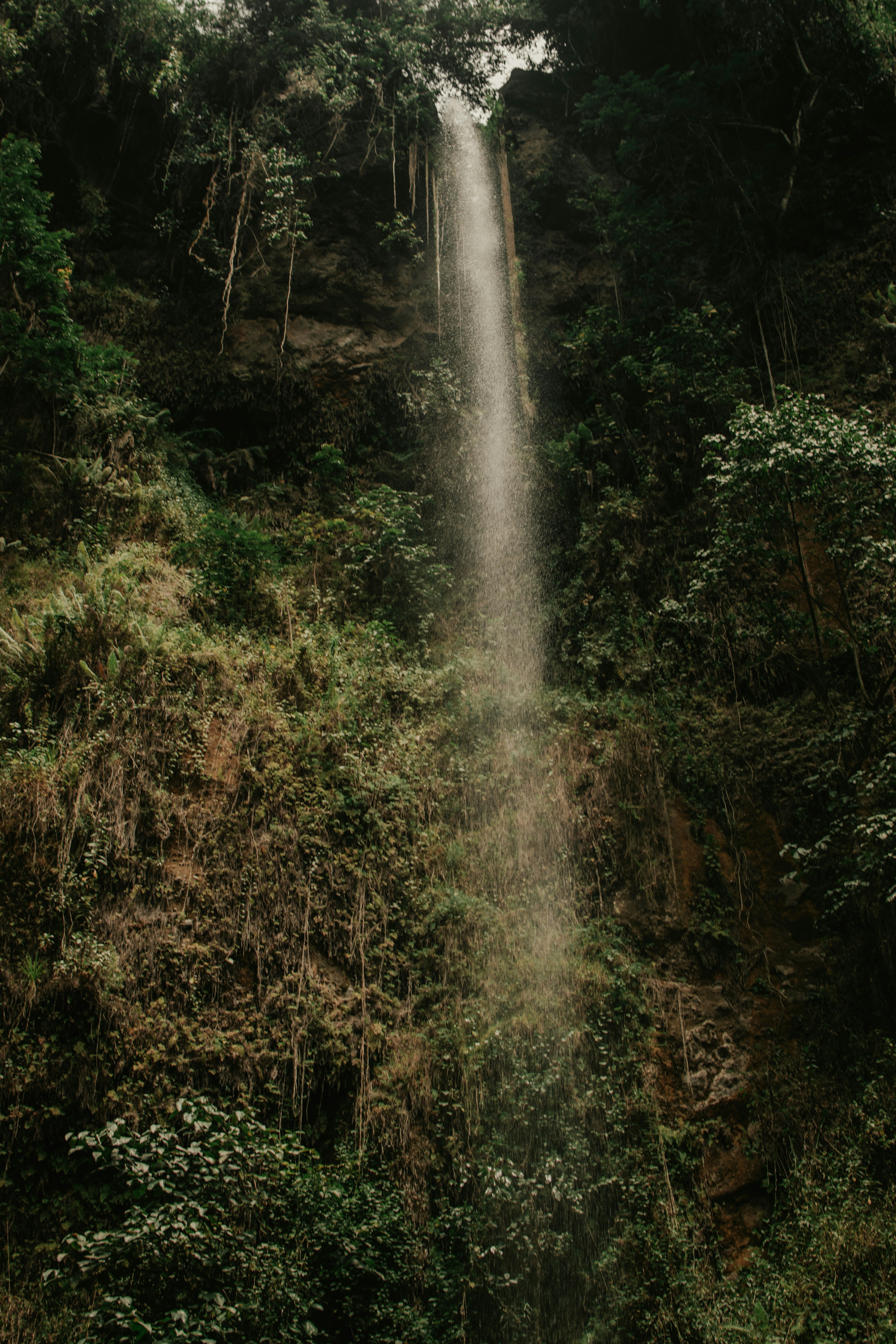 Photo by utunzajiwamazingira