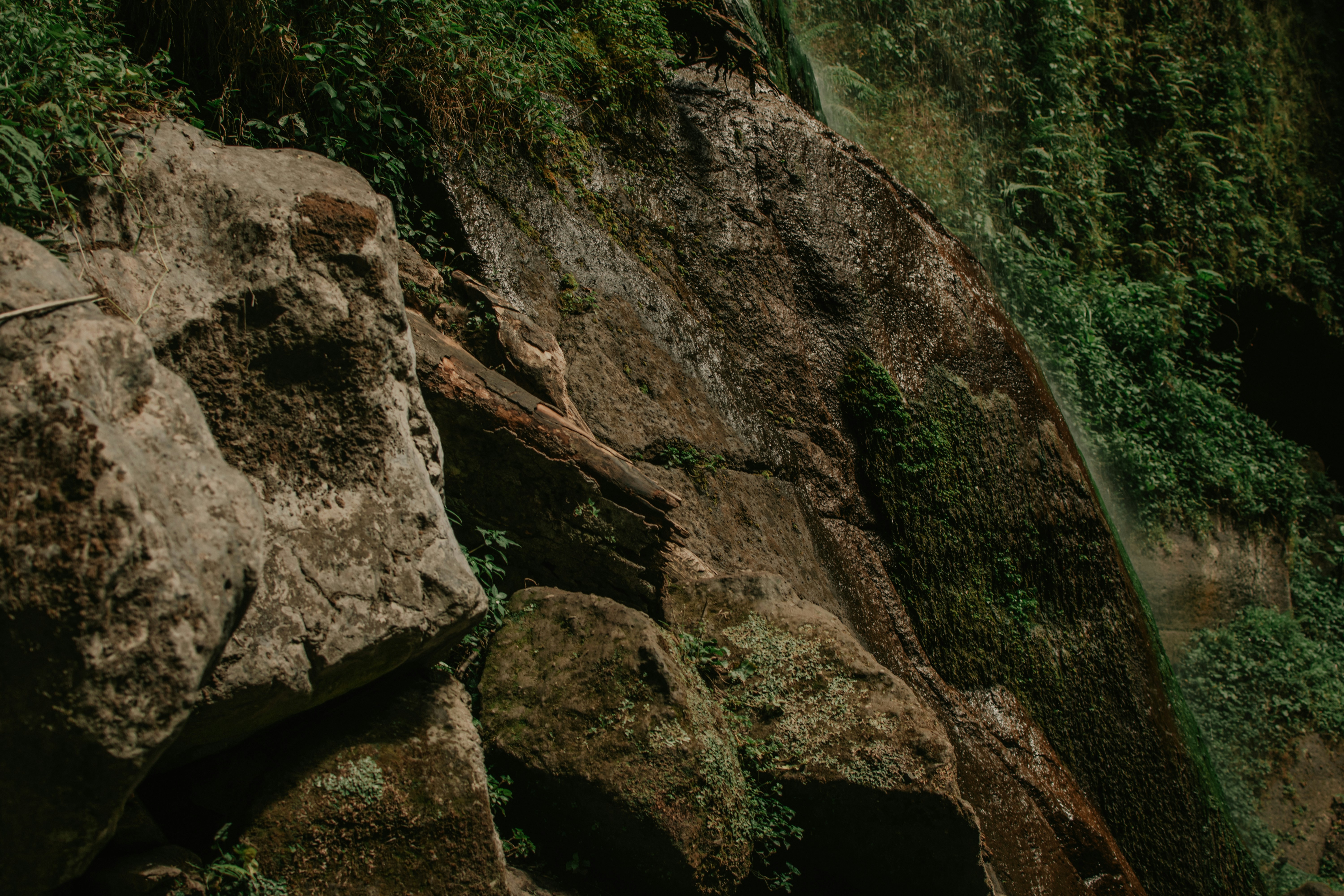 Photo by utunzajiwamazingira