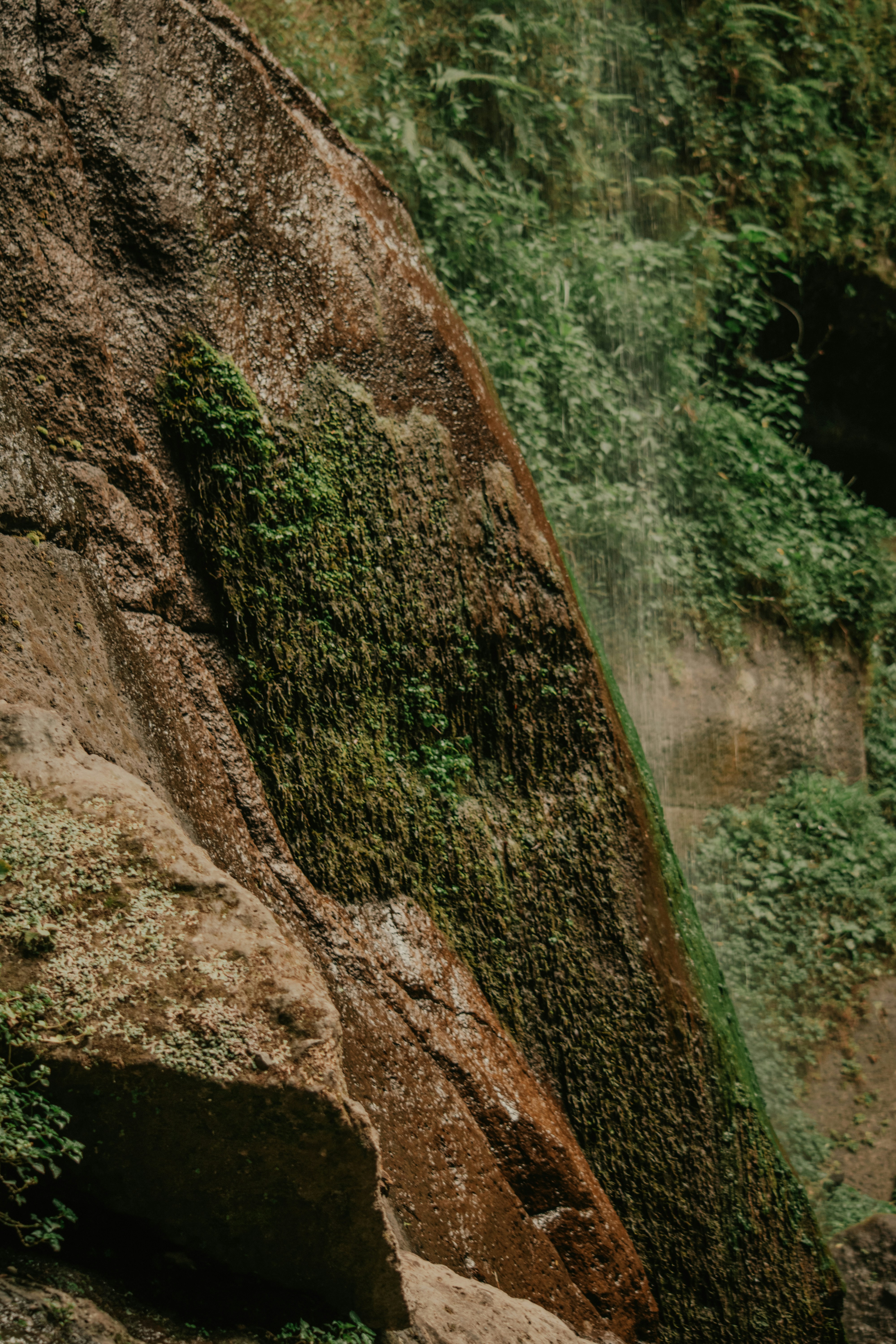 Photo by utunzajiwamazingira