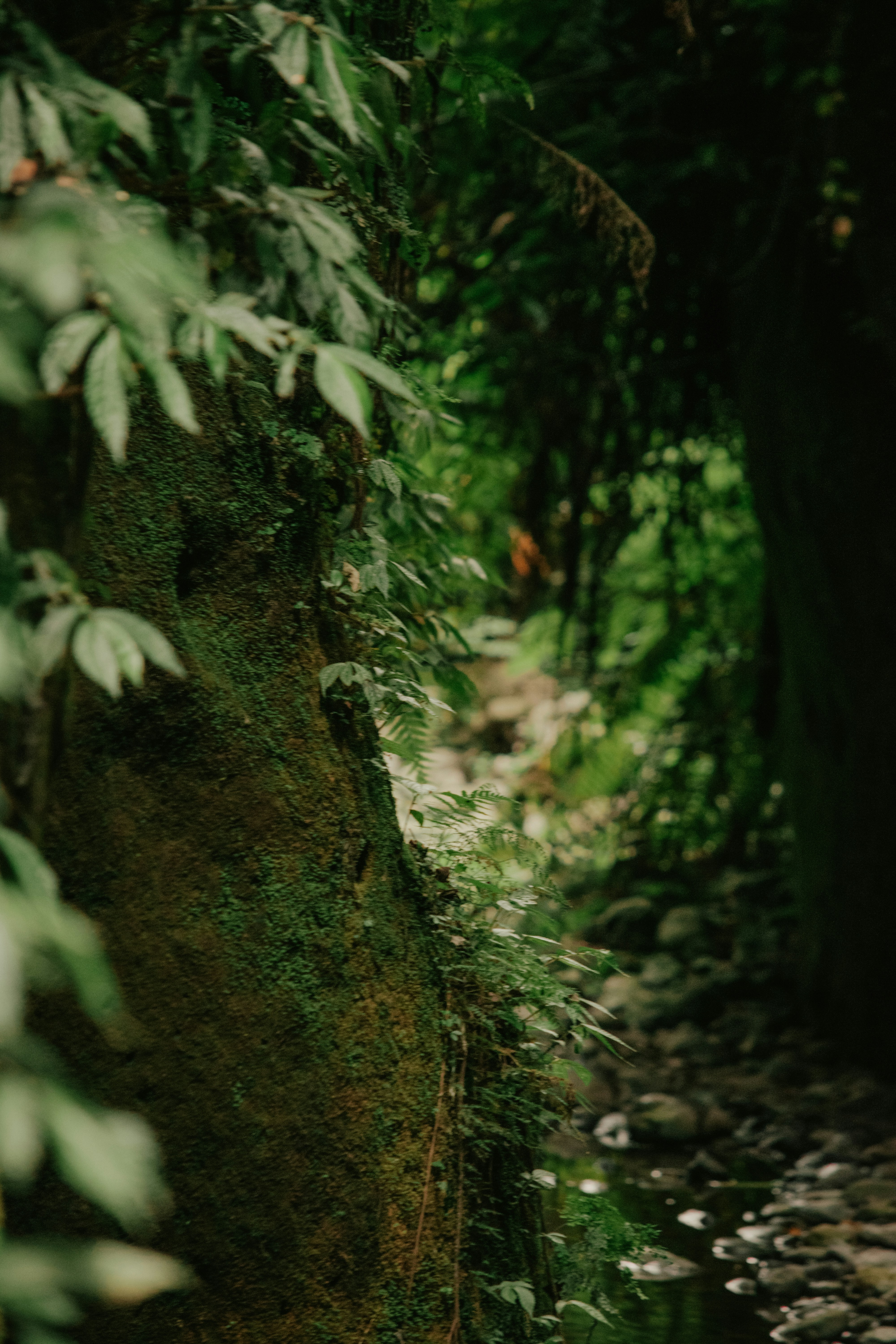 Photo by utunzajiwamazingira