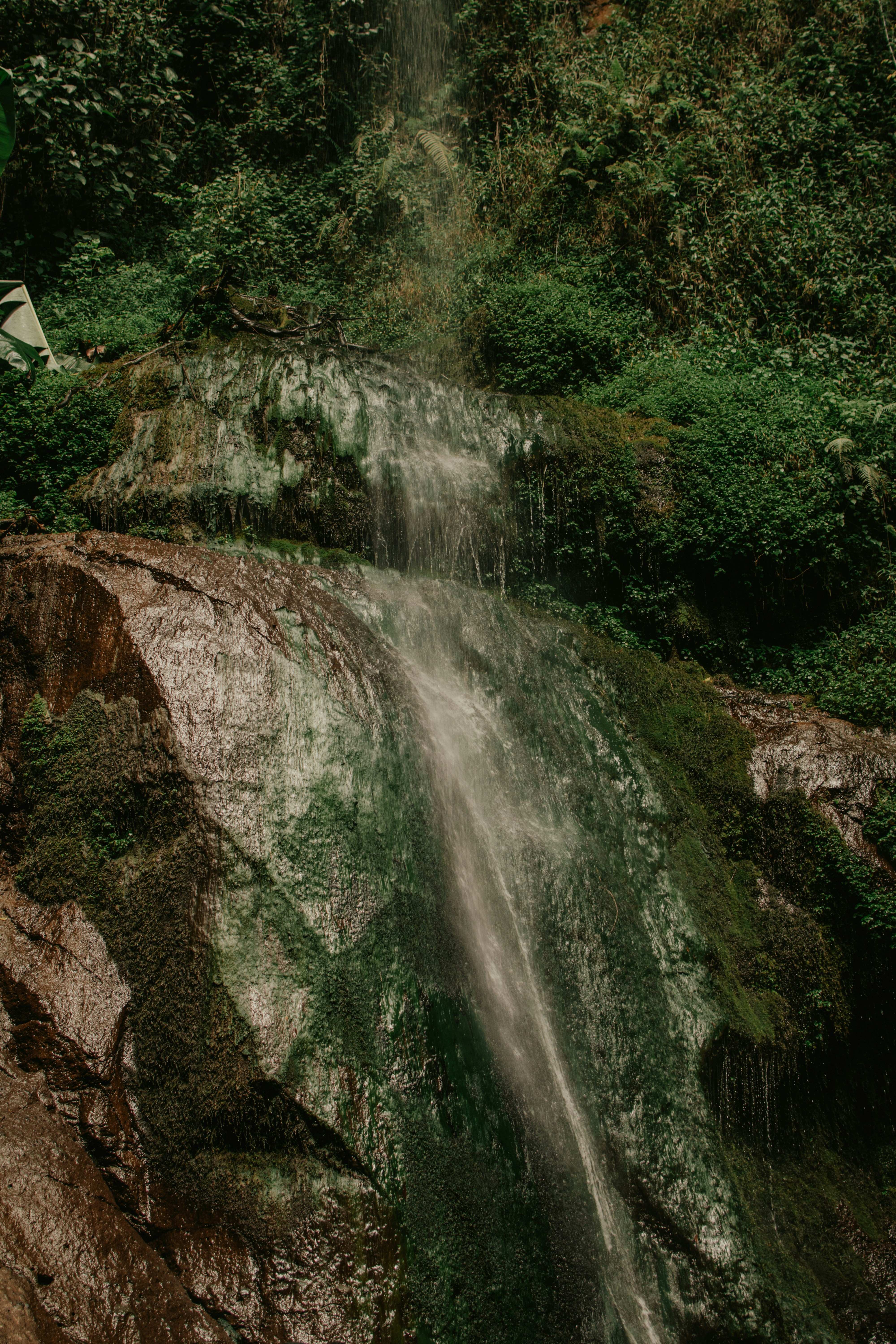 Photo by utunzajiwamazingira