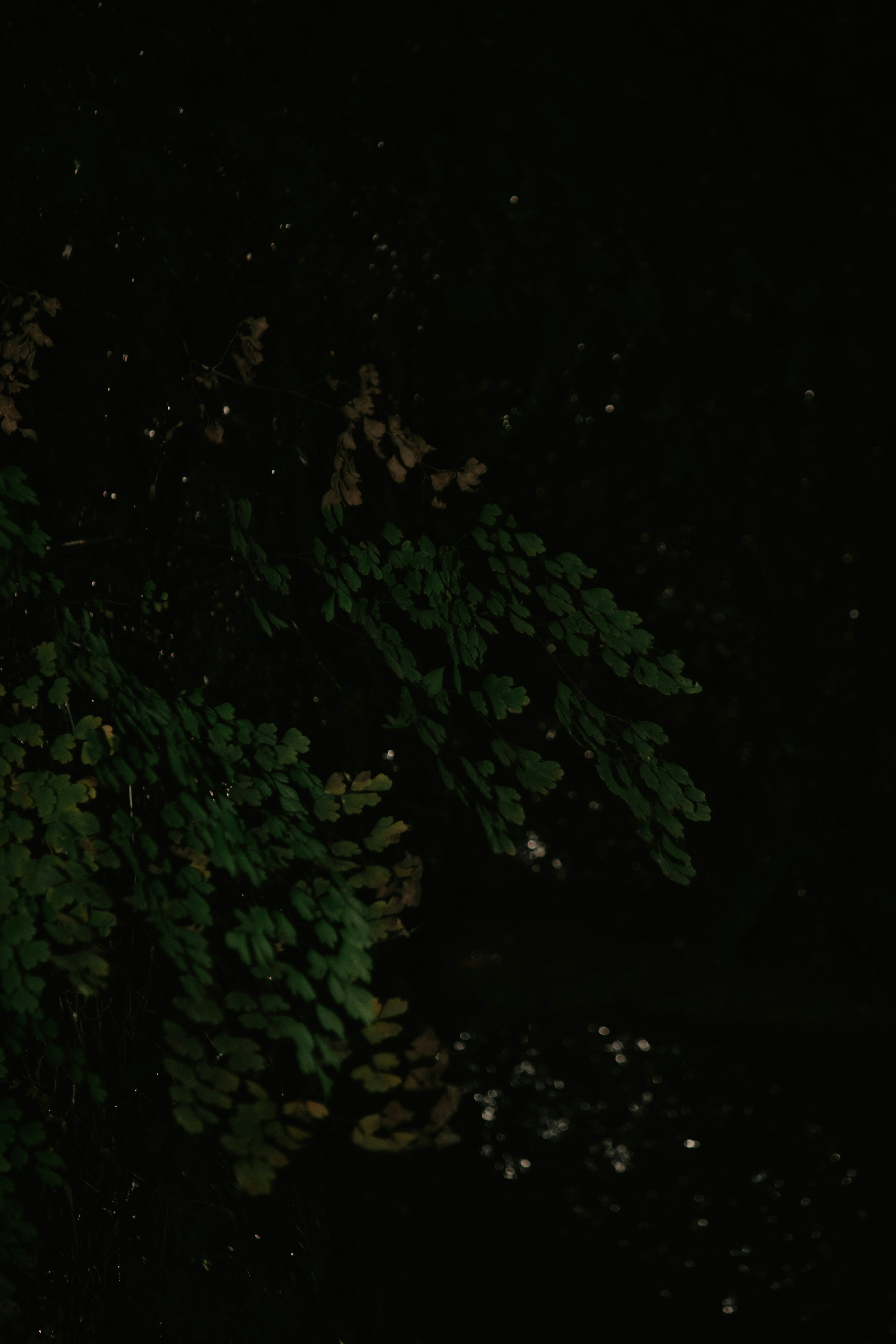 Photo by utunzajiwamazingira