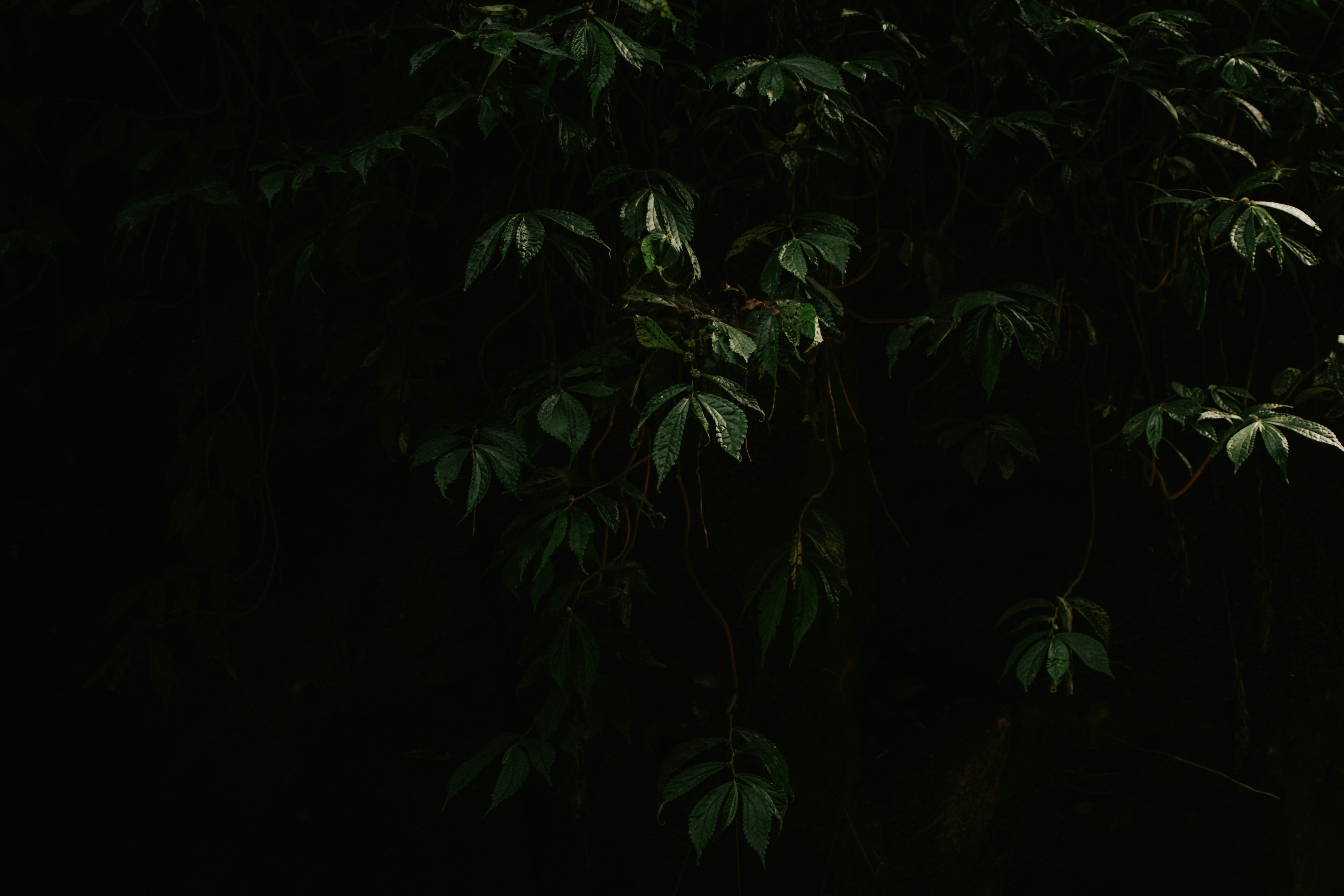 Photo by utunzajiwamazingira