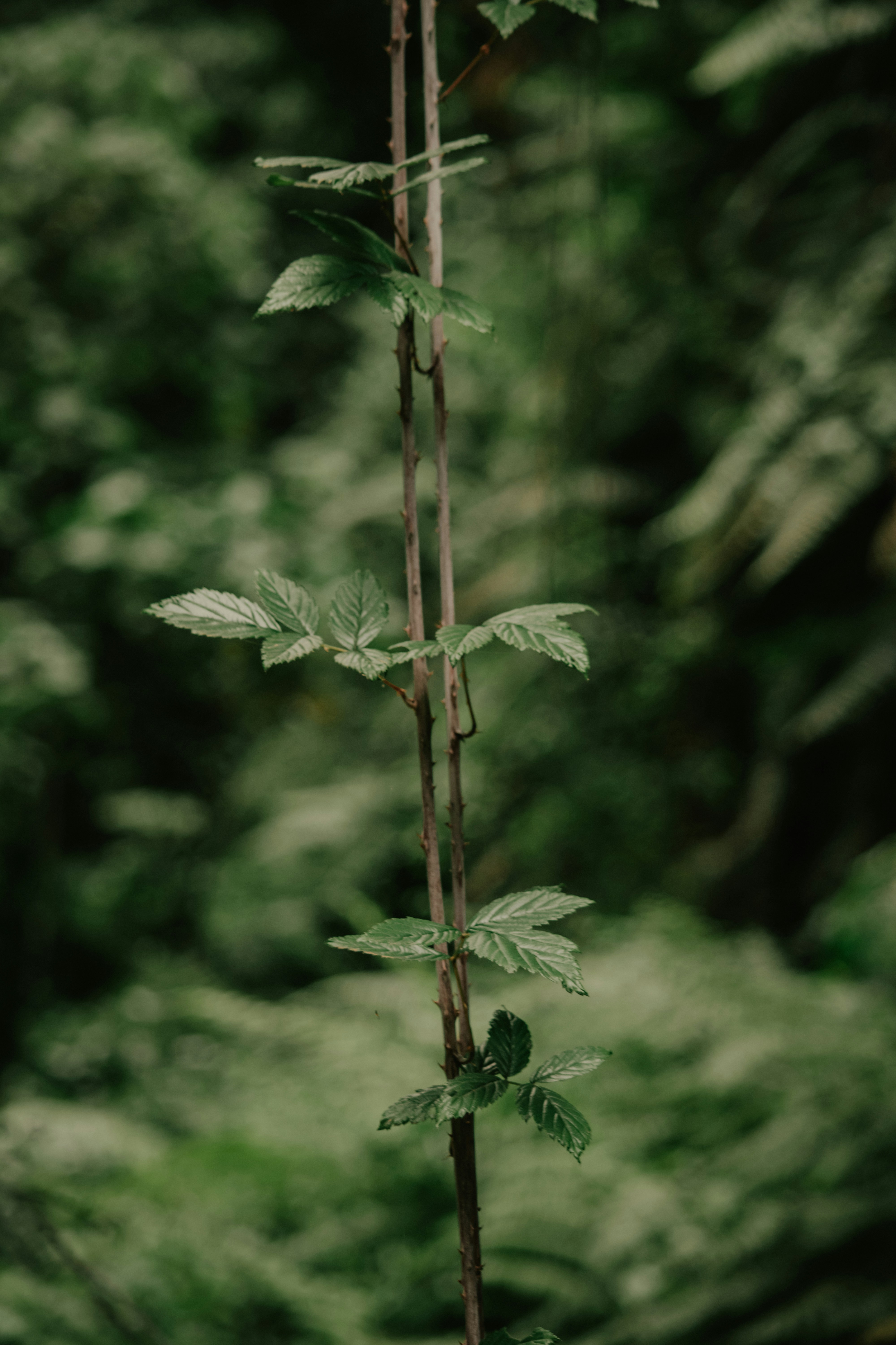 Photo by utunzajiwamazingira