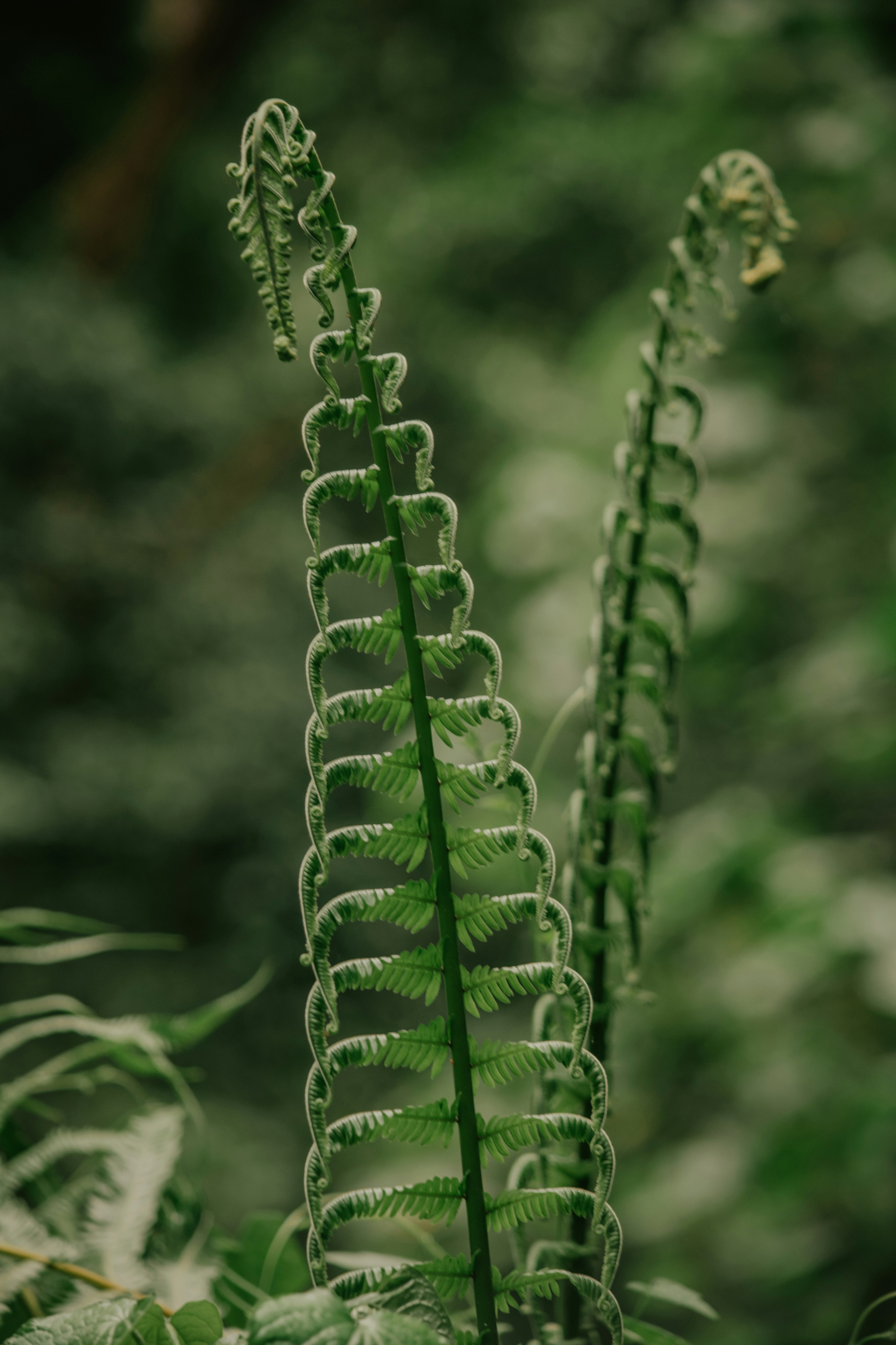 Photo by utunzajiwamazingira