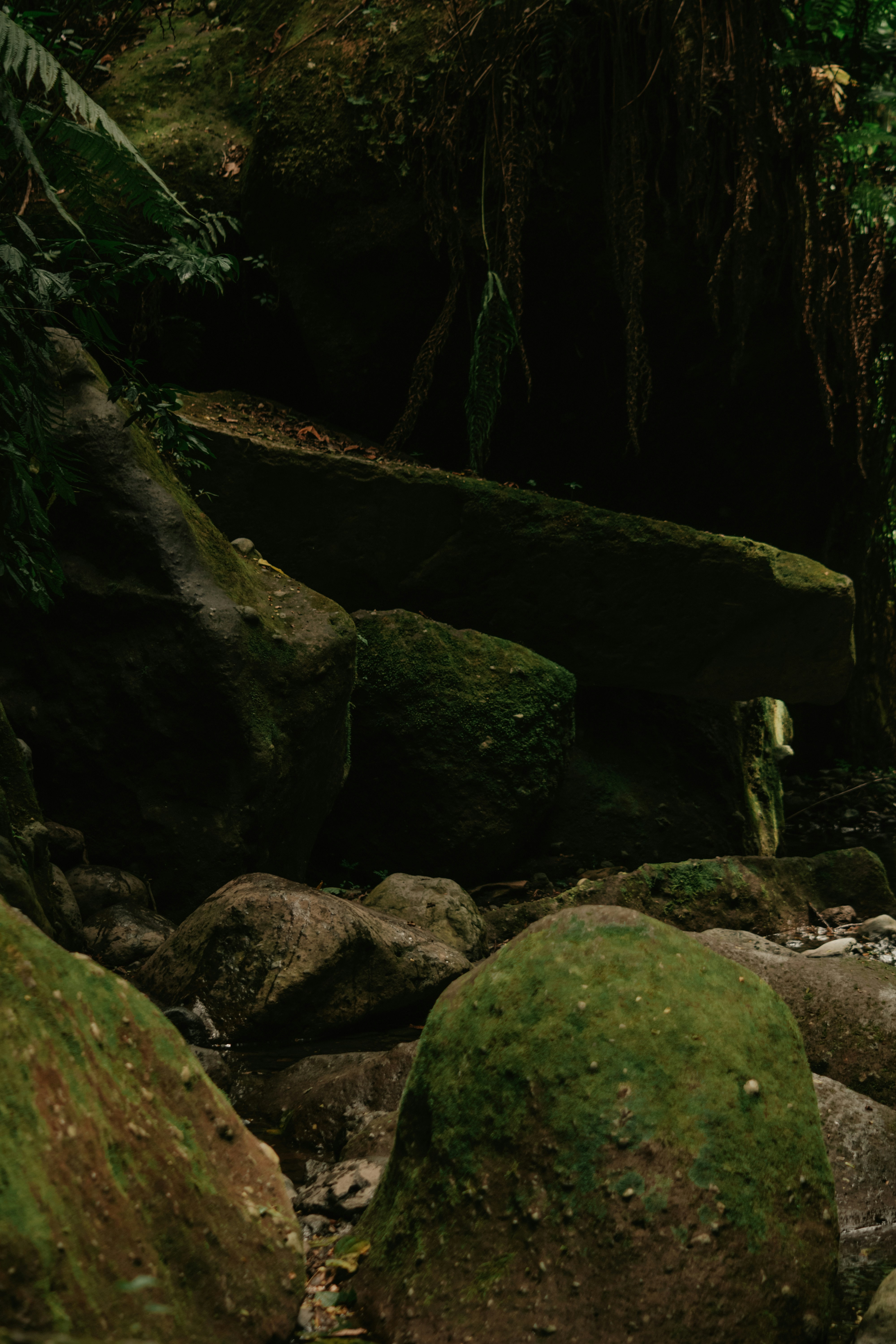 Photo by utunzajiwamazingira