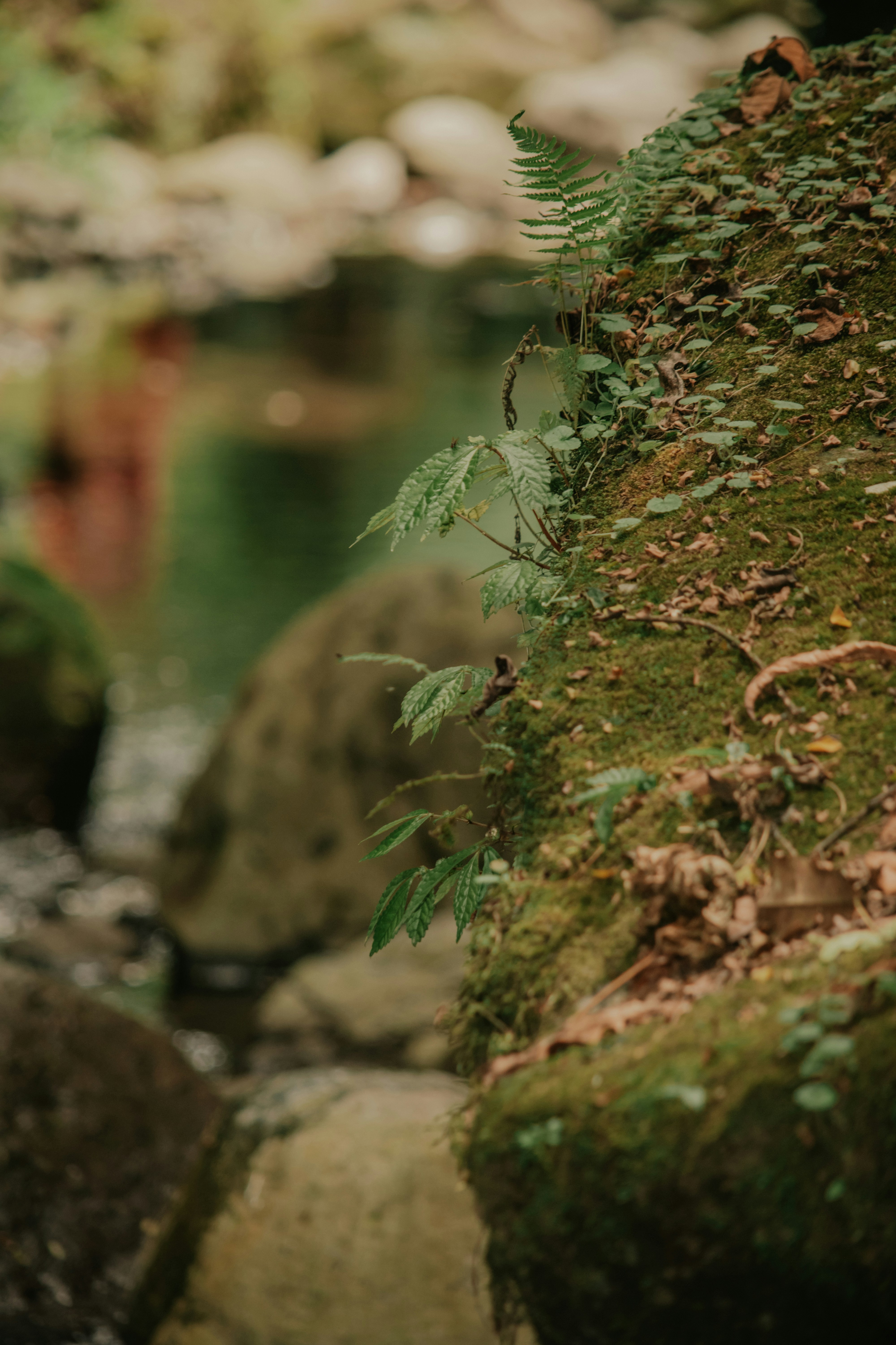 Photo by utunzajiwamazingira