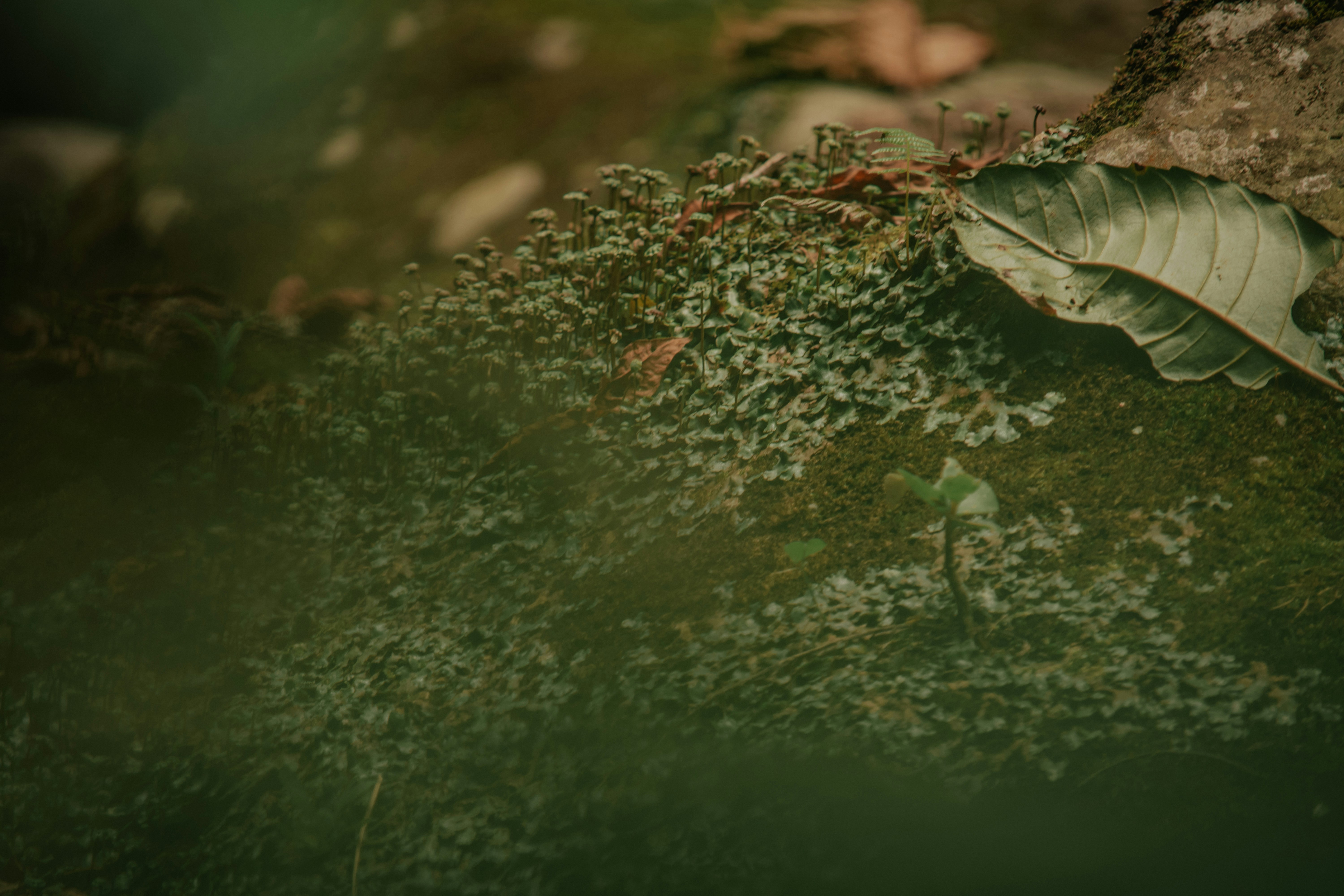 Photo by utunzajiwamazingira