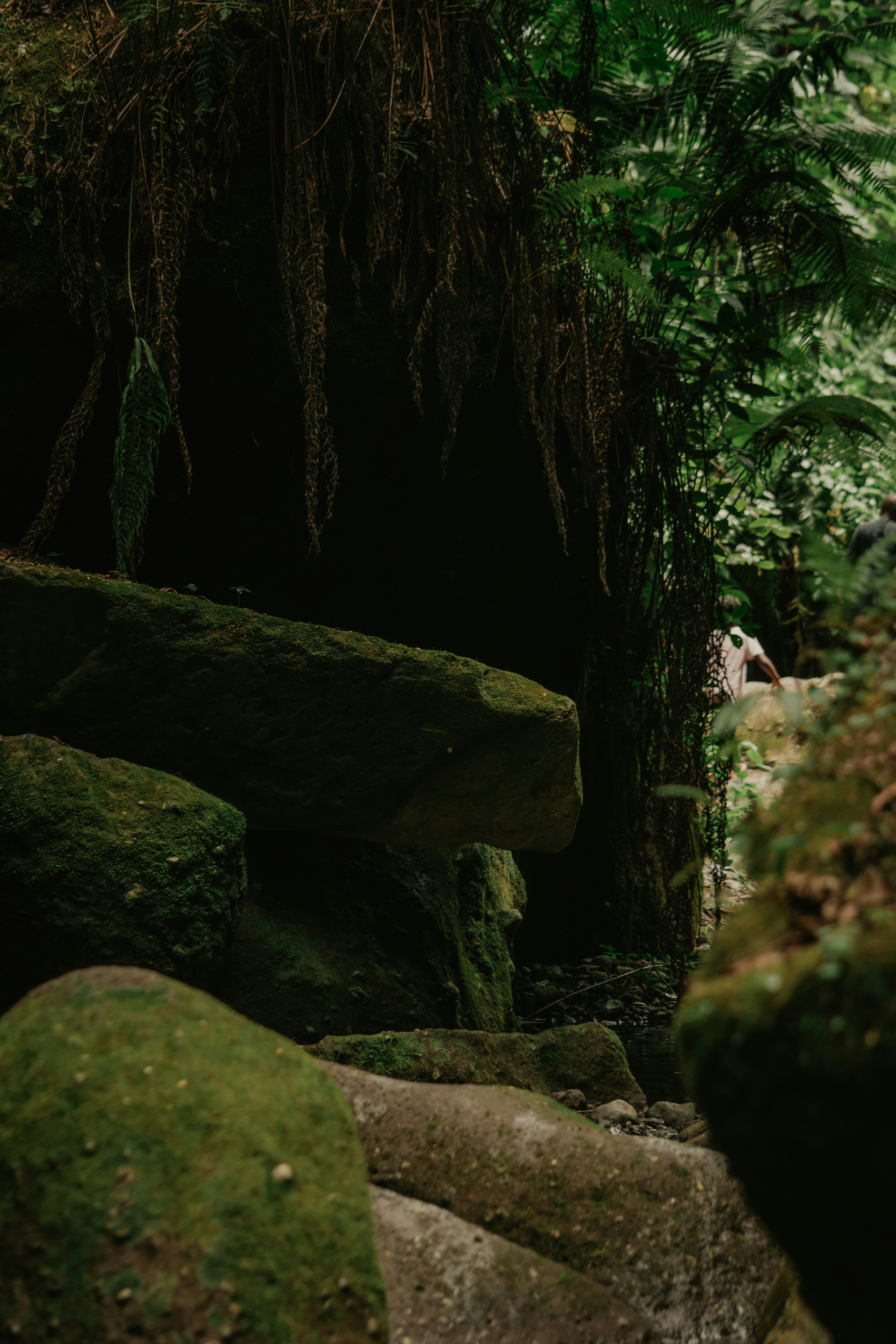 Photo by utunzajiwamazingira