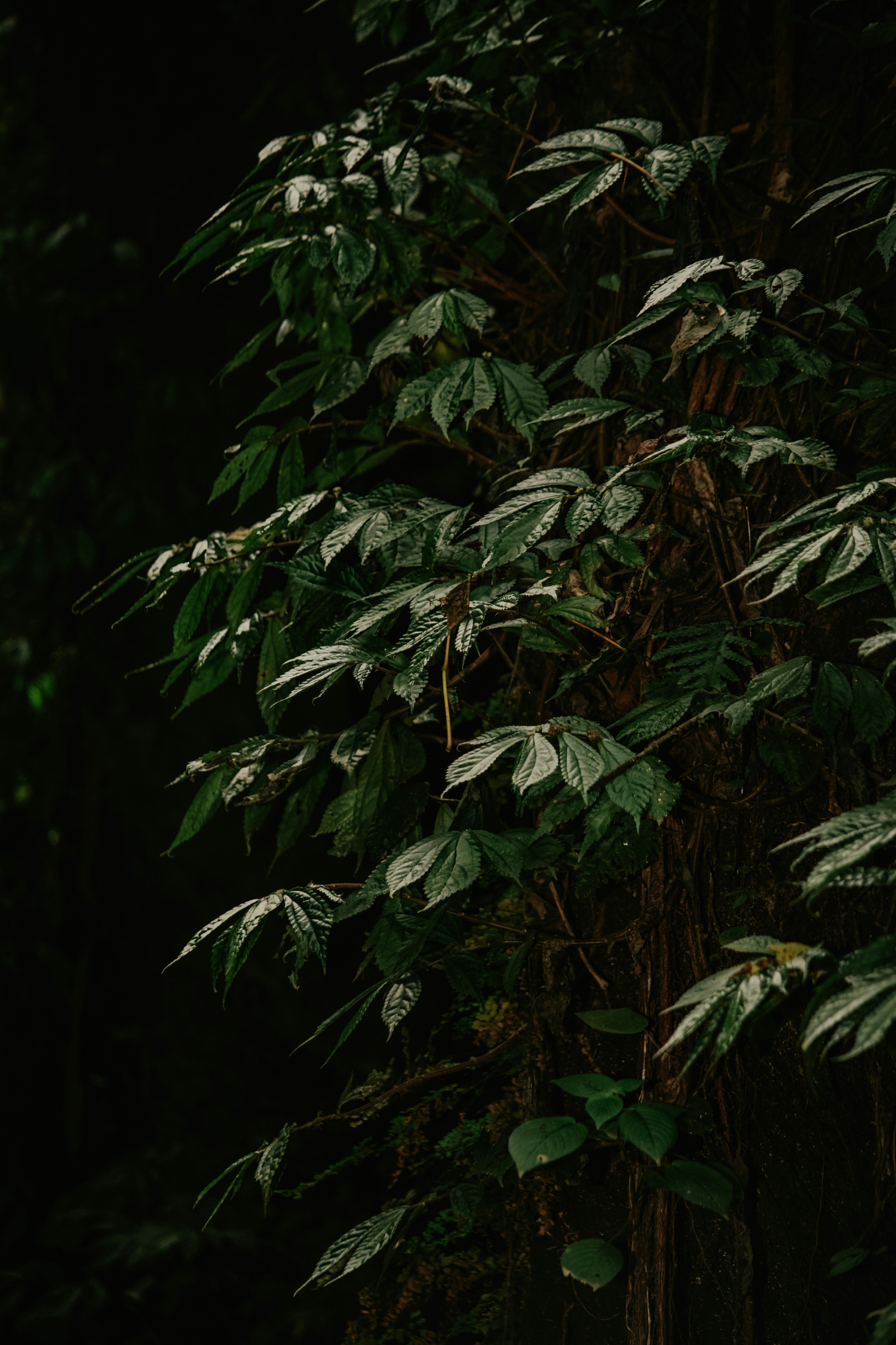 Photo by utunzajiwamazingira