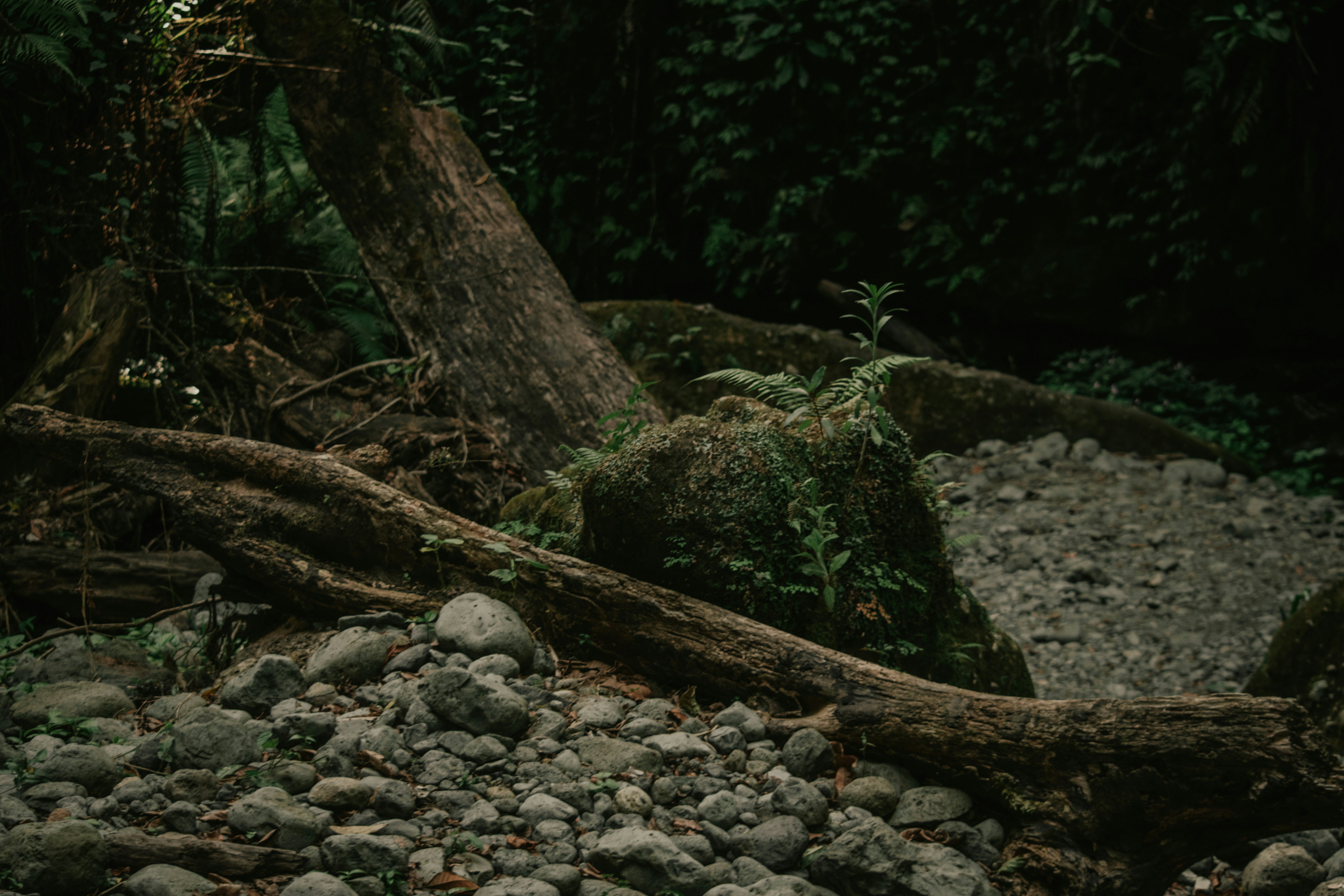 Photo by utunzajiwamazingira