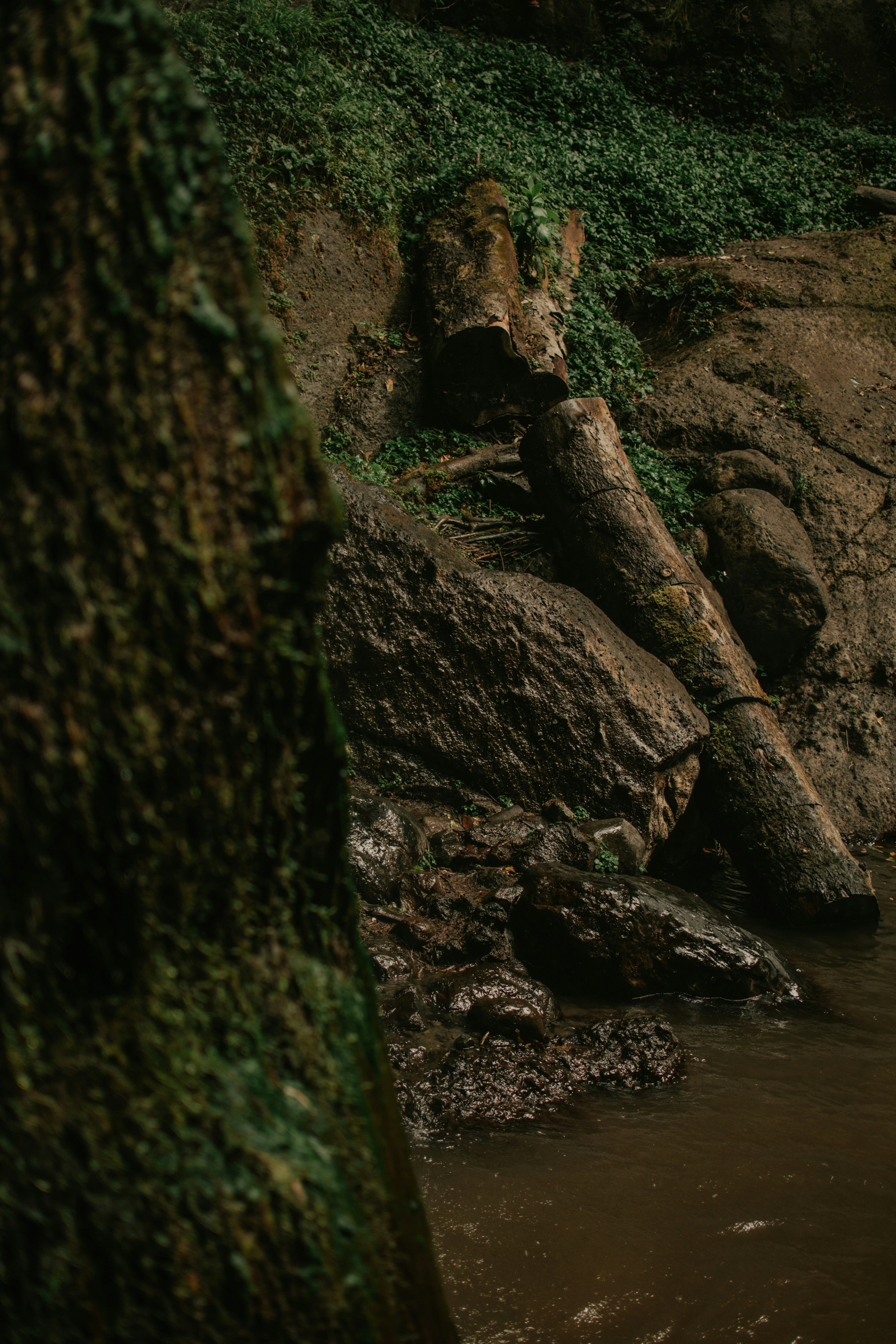 Photo by utunzajiwamazingira