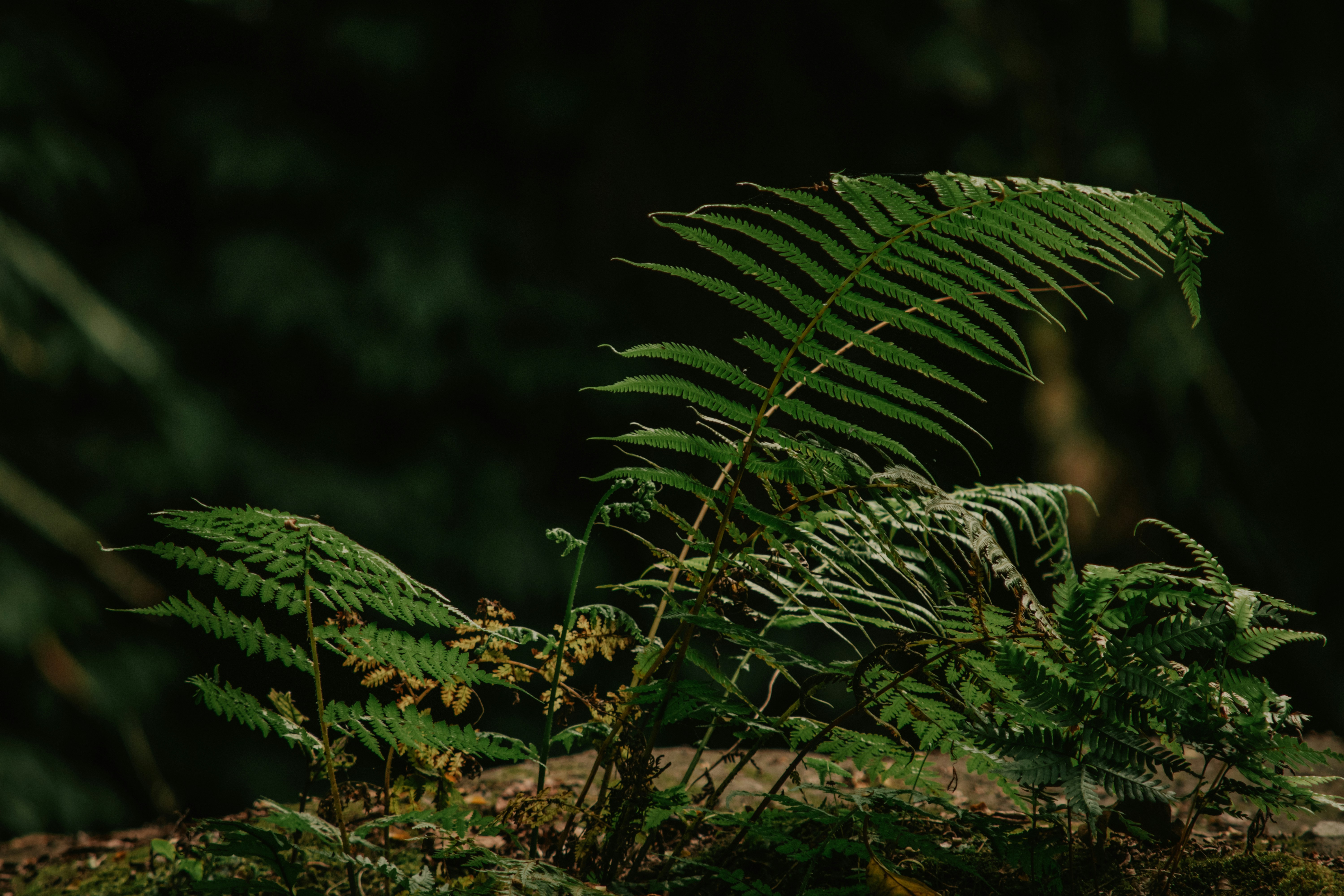 Photo by utunzajiwamazingira