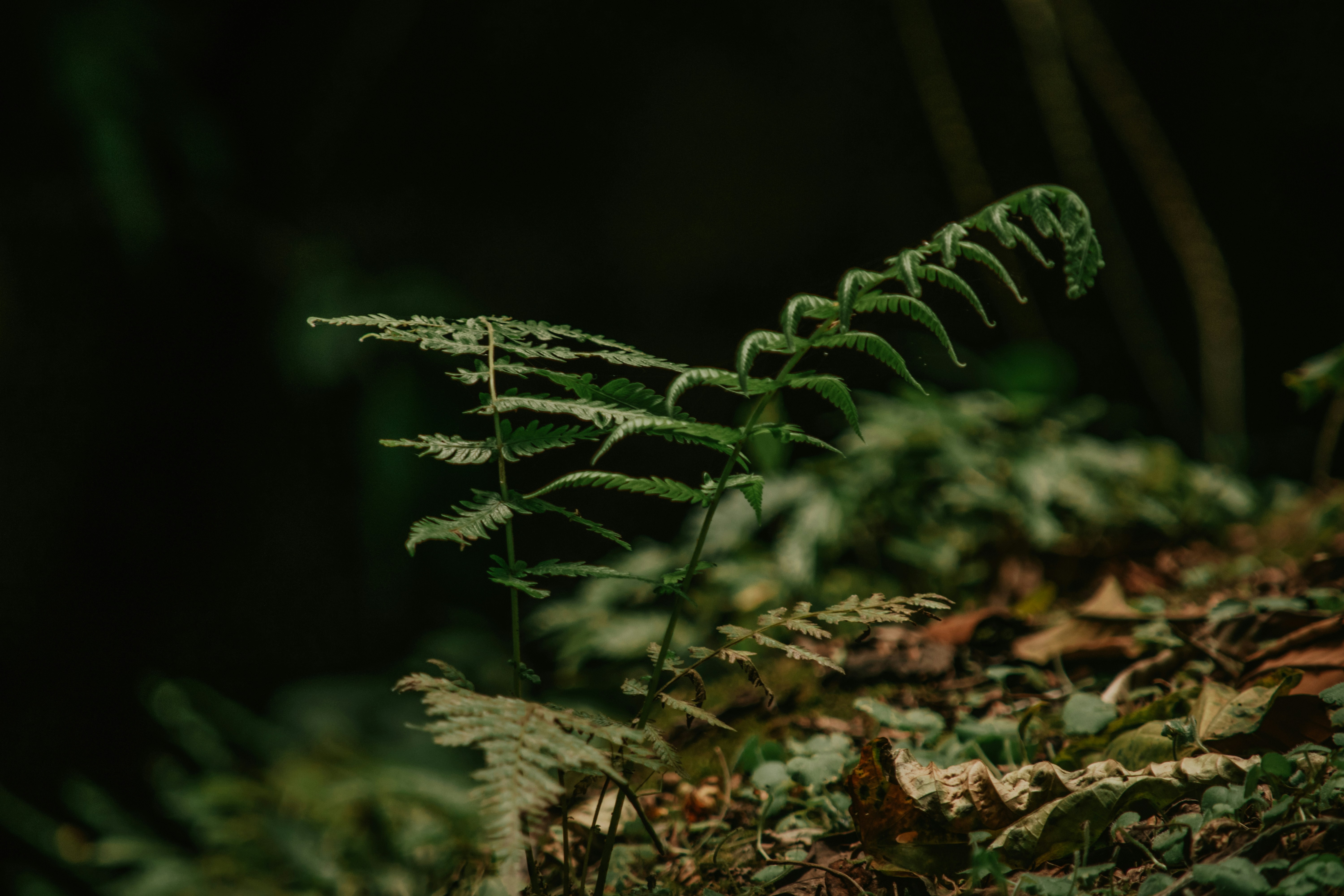 Photo by utunzajiwamazingira