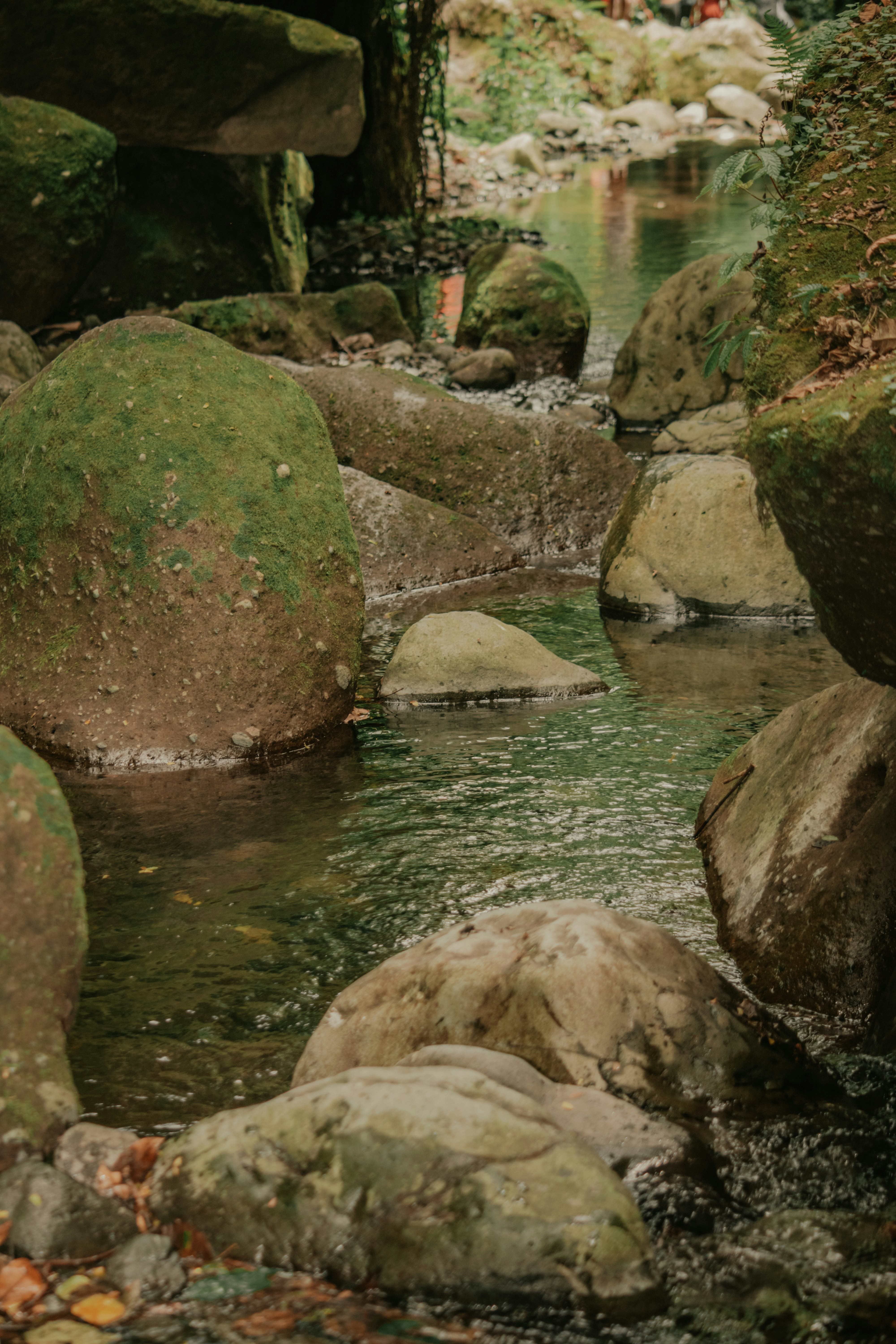 Photo by utunzajiwamazingira