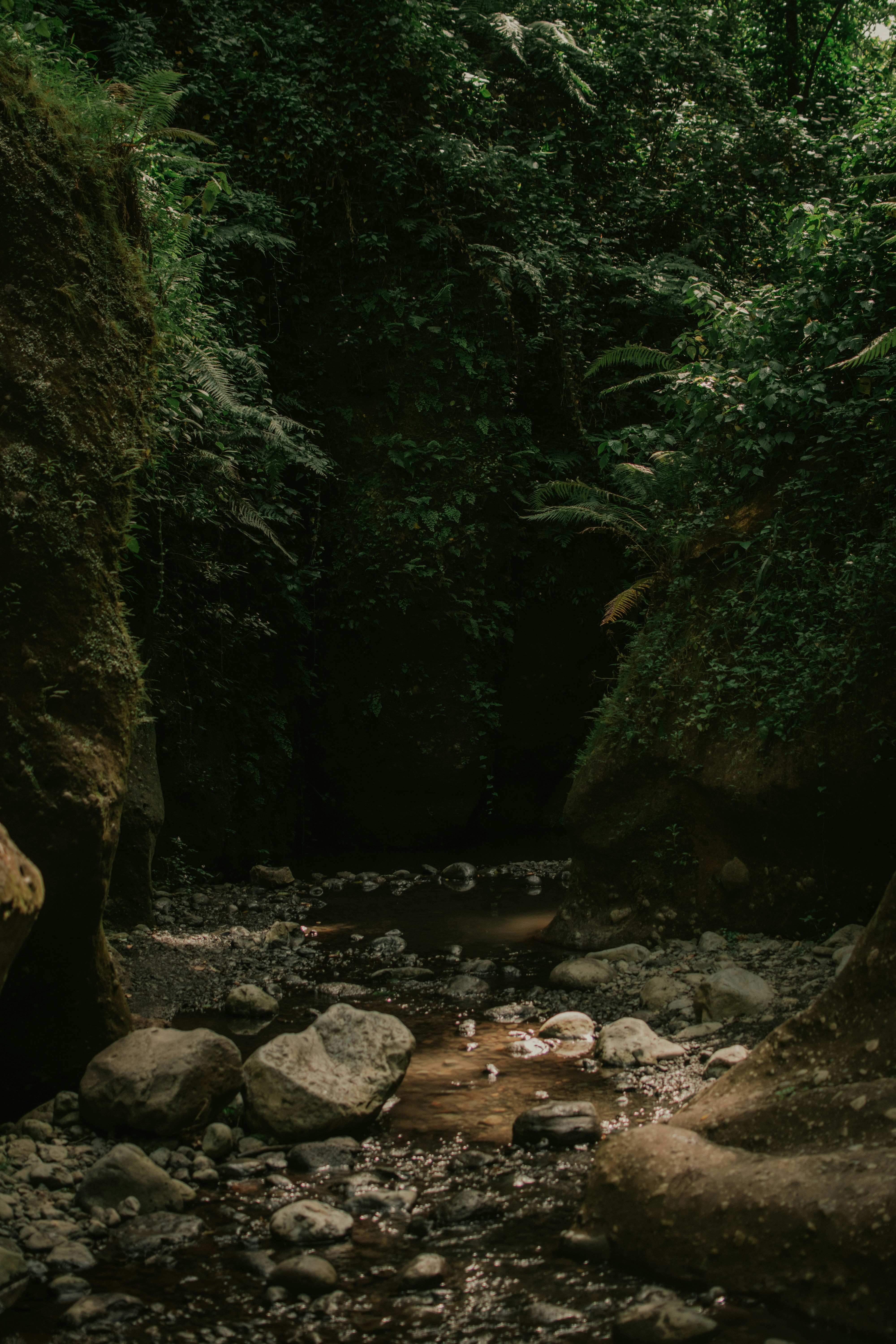 Photo by utunzajiwamazingira