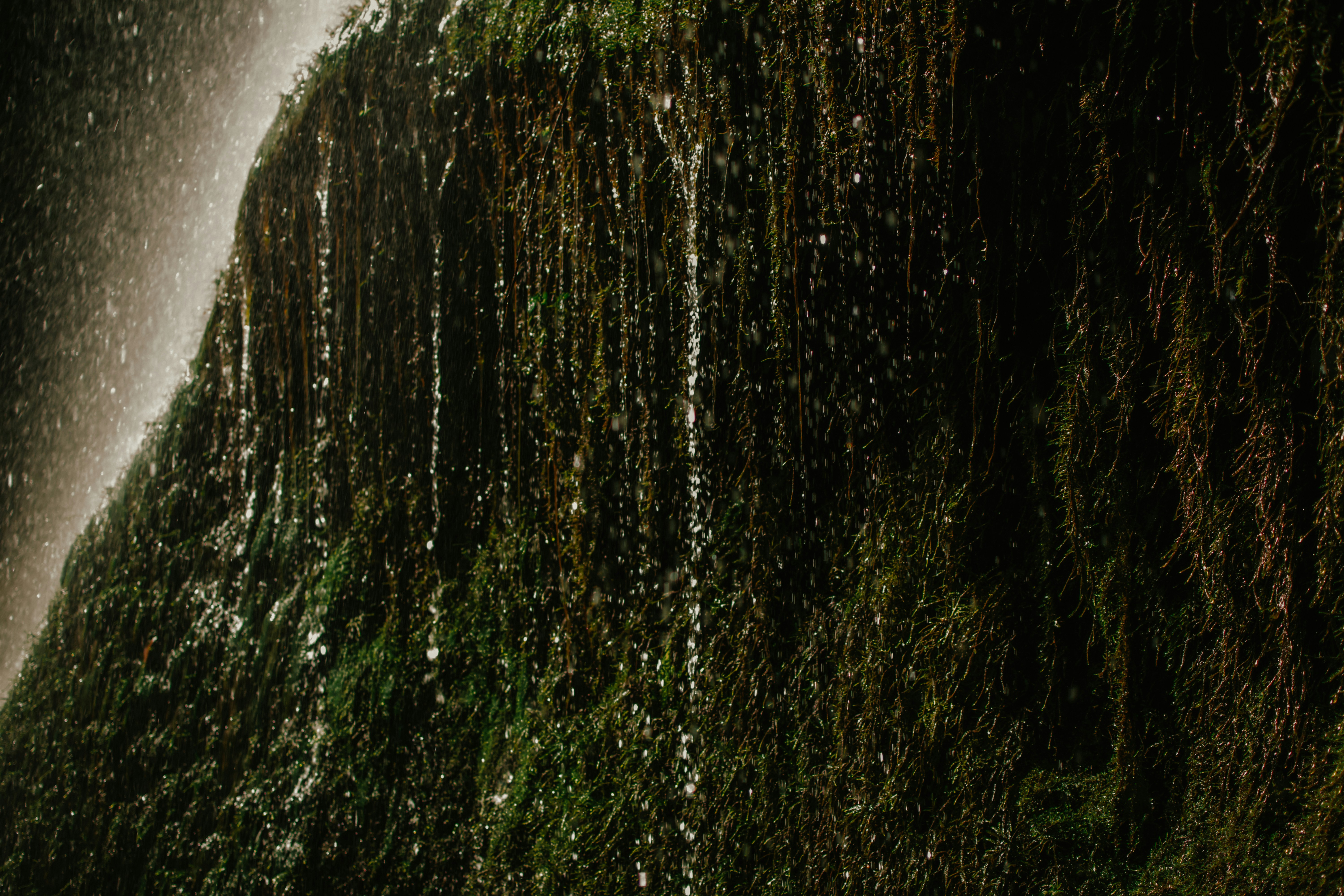 Photo by utunzajiwamazingira