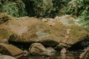 A hand-knit beanie resting on moss-covered rocks beside a flowing forest stream
