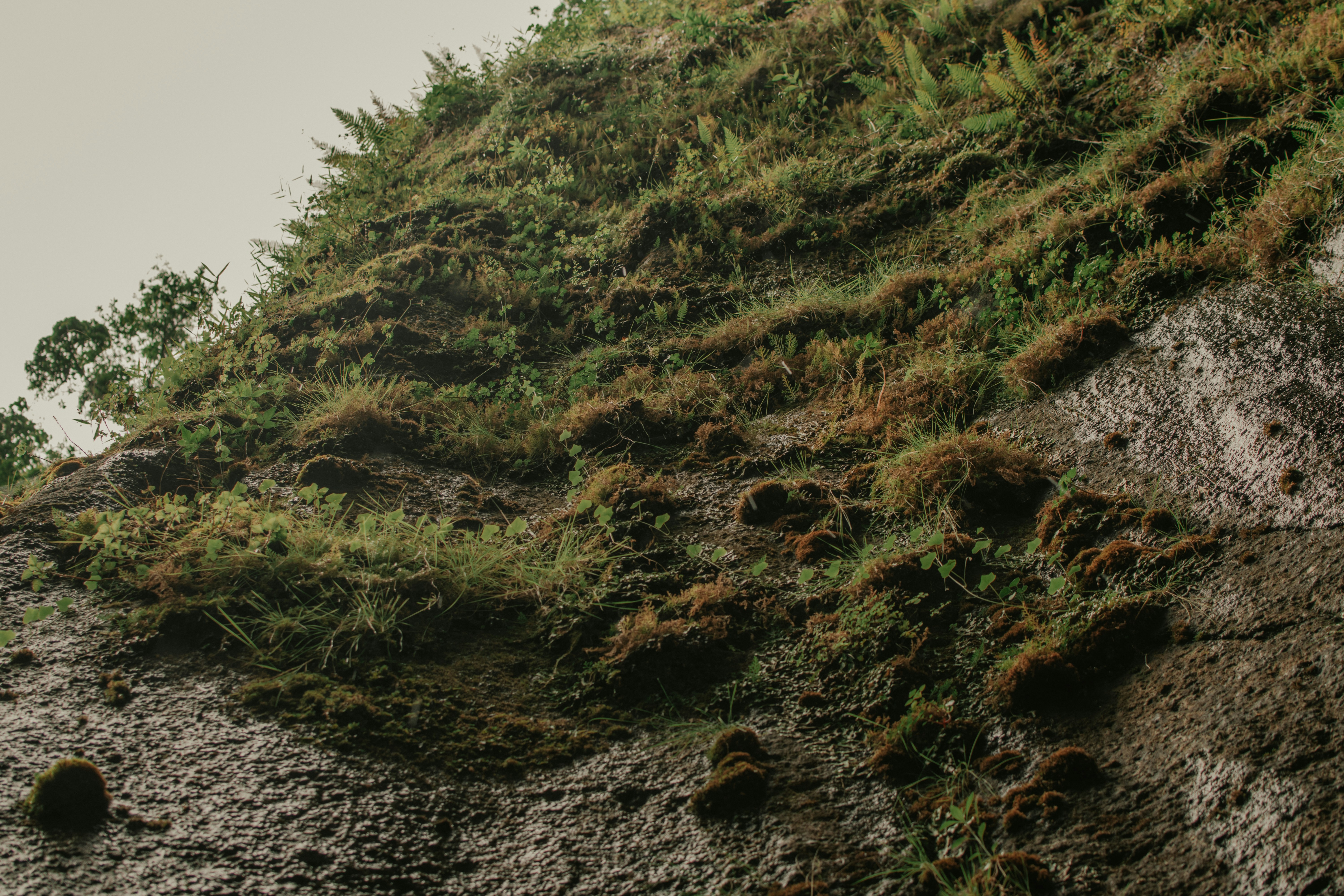 Photo by utunzajiwamazingira