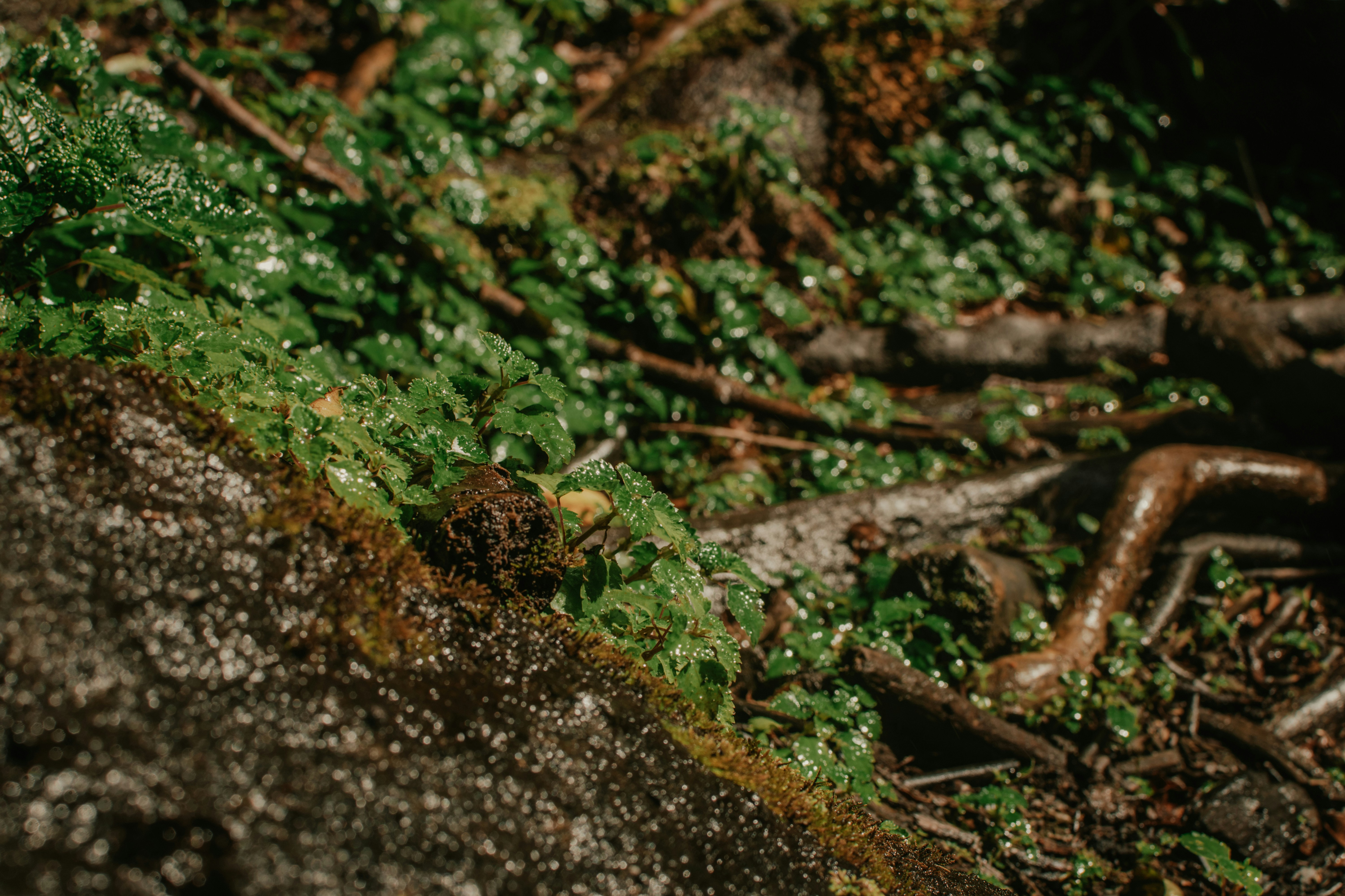 Photo by utunzajiwamazingira