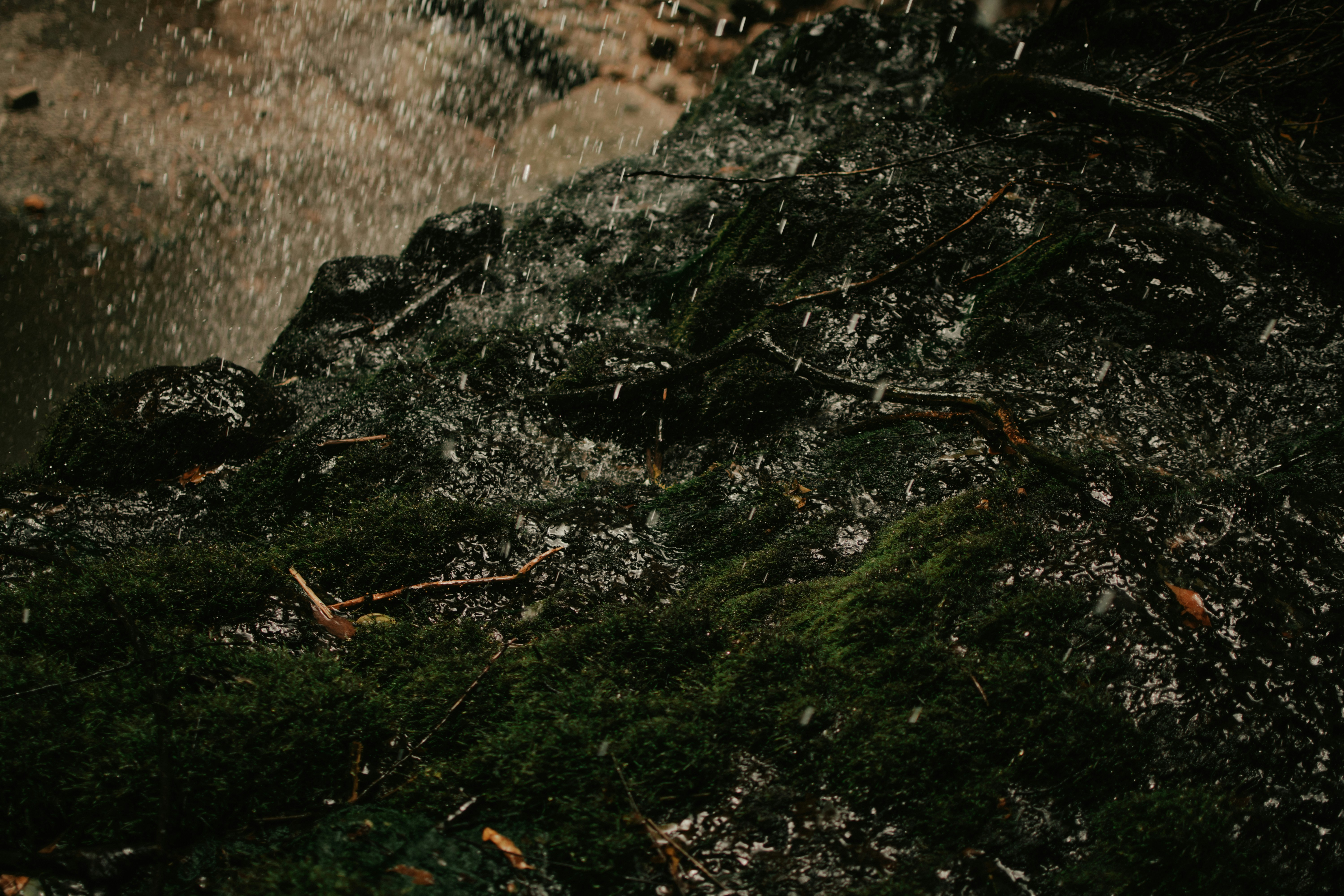 Photo by utunzajiwamazingira