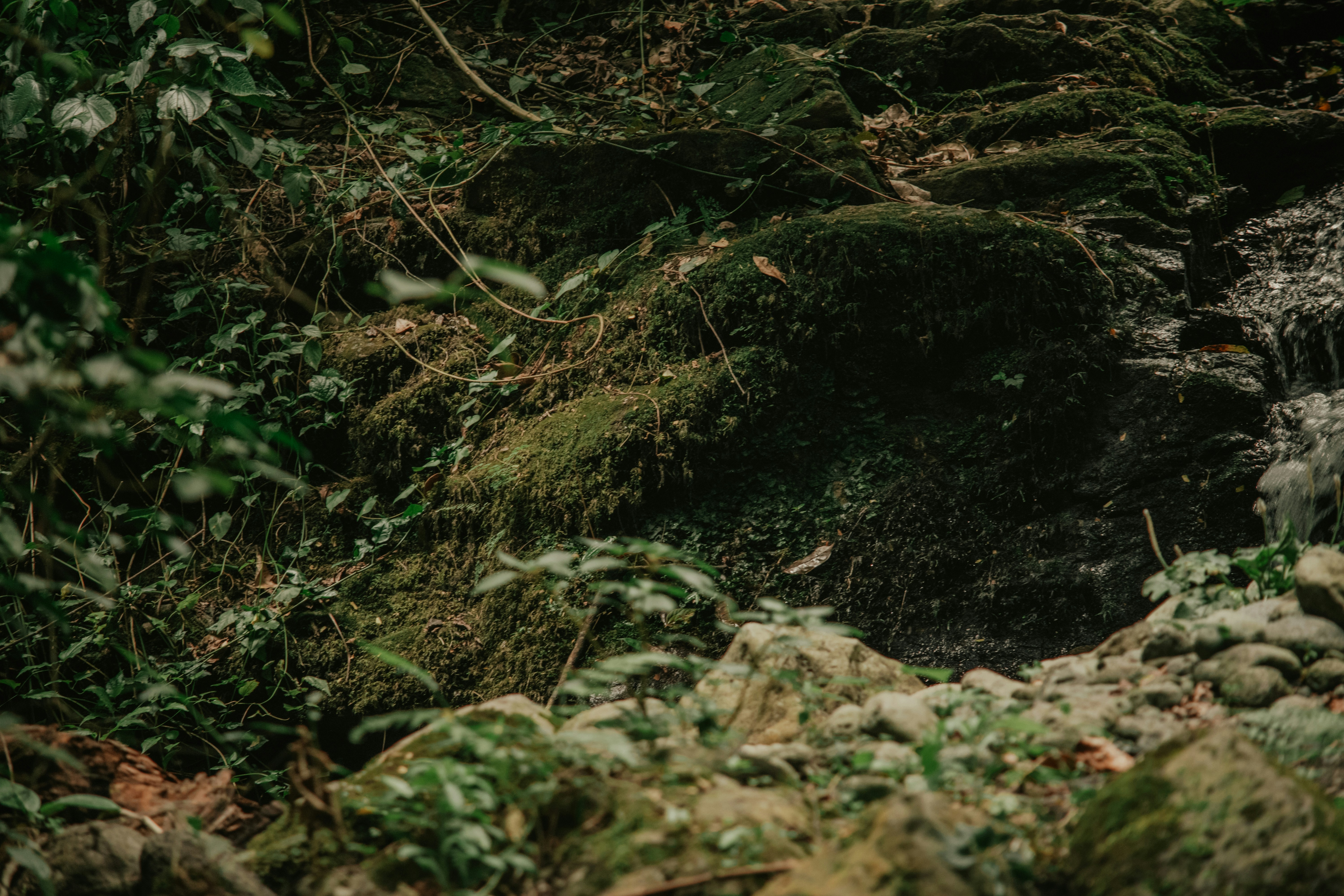 Photo by utunzajiwamazingira