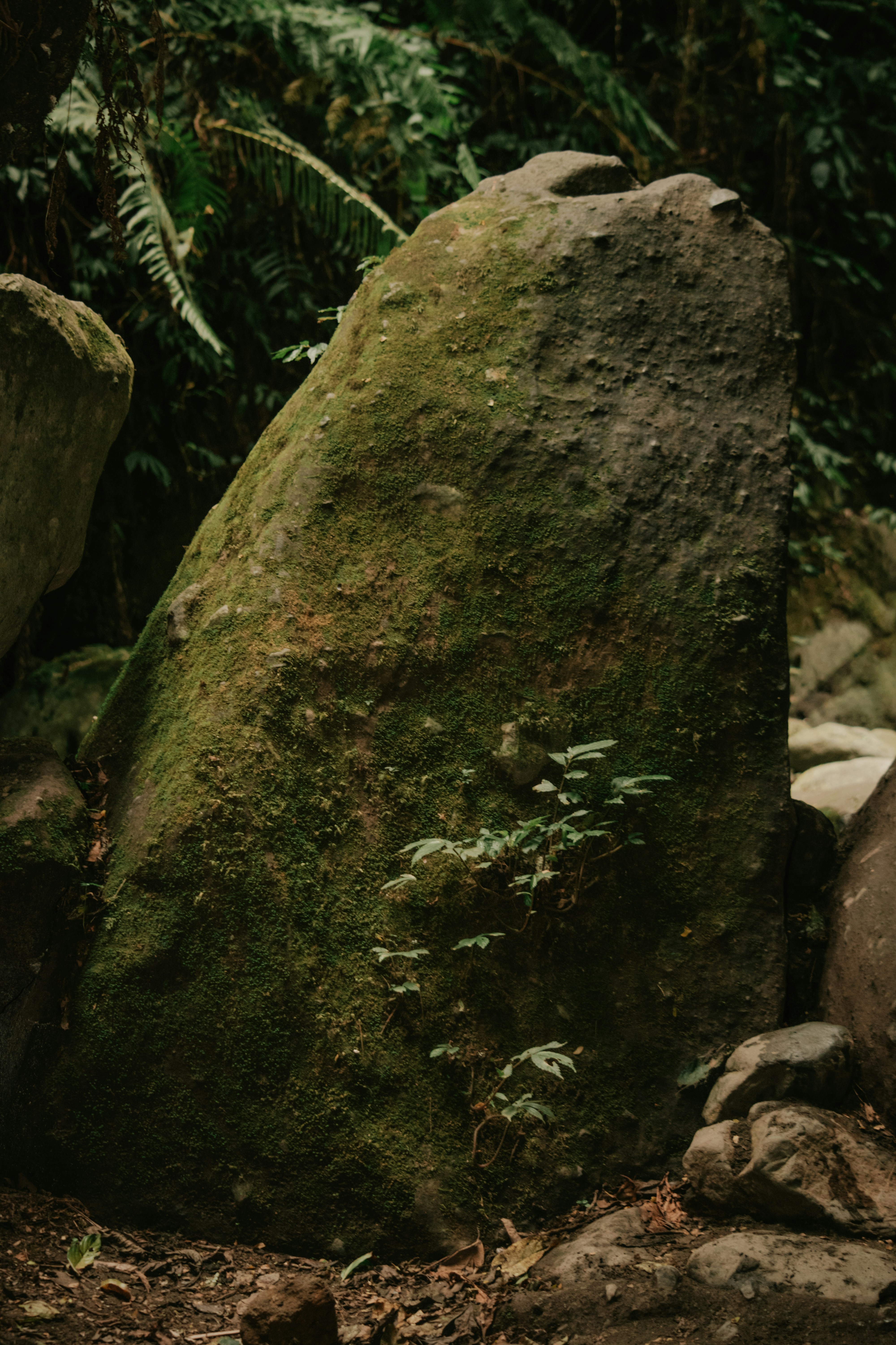 神秘亚马孙丨石像残件地光背后的秘密