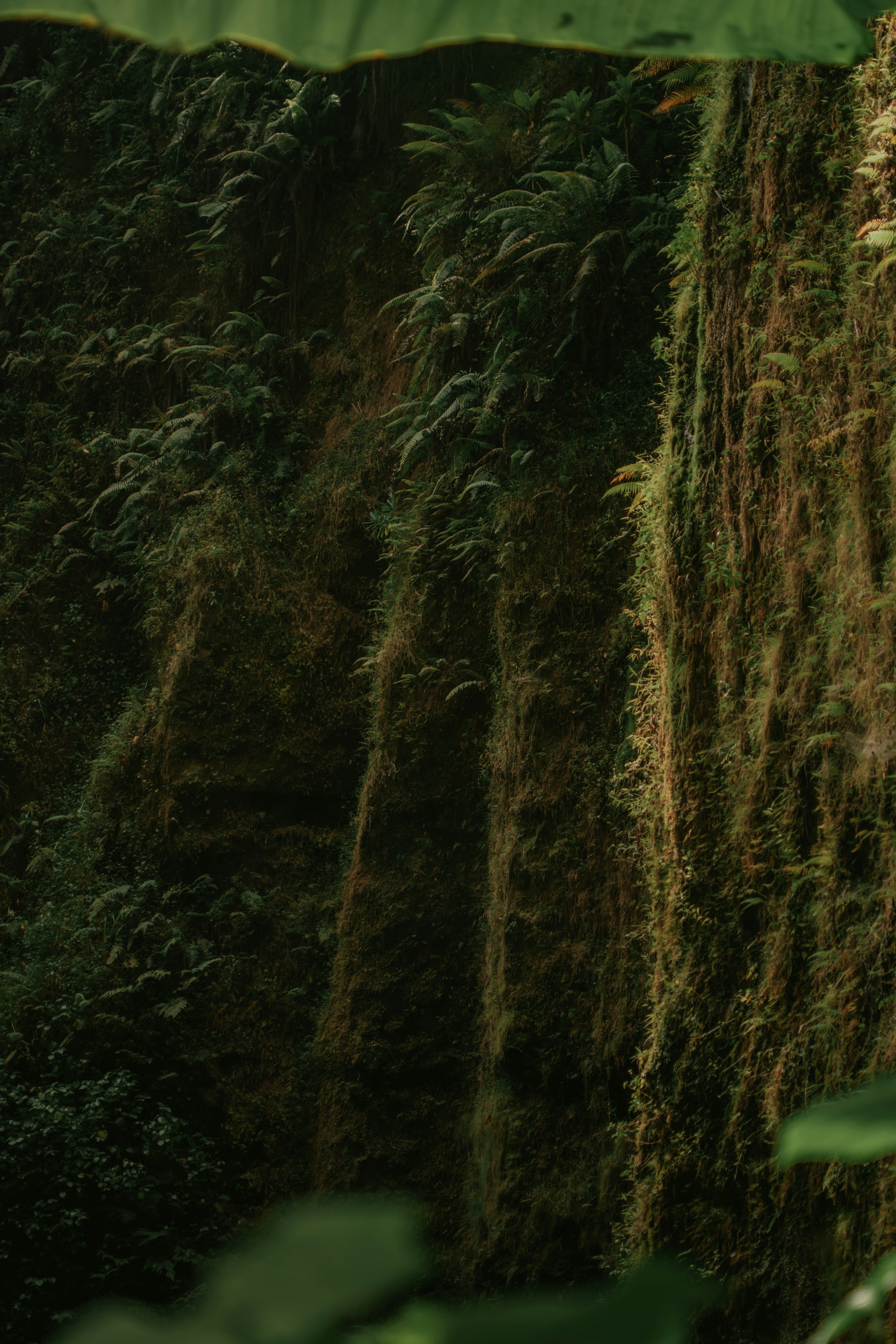 Photo by utunzajiwamazingira