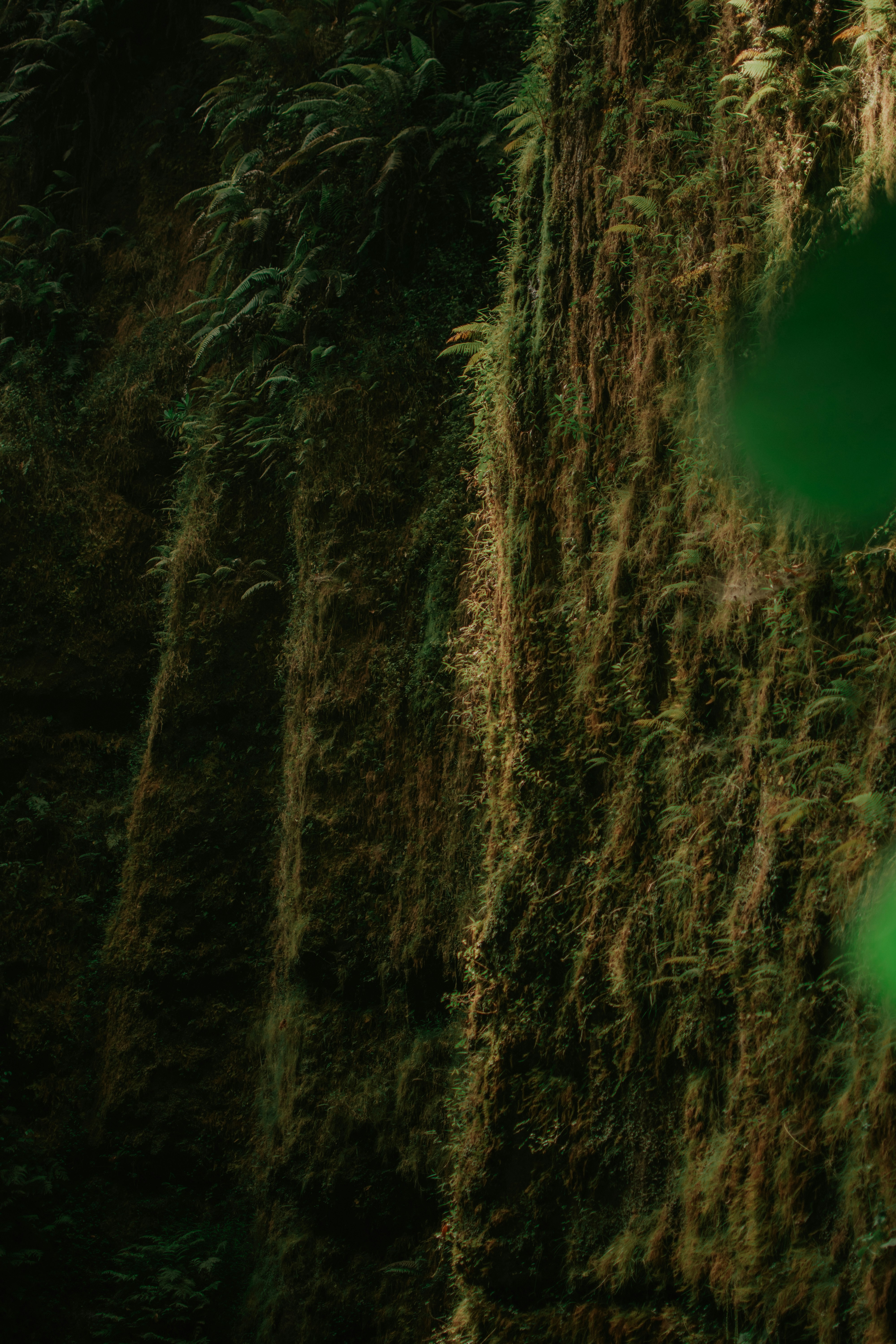 Photo by utunzajiwamazingira