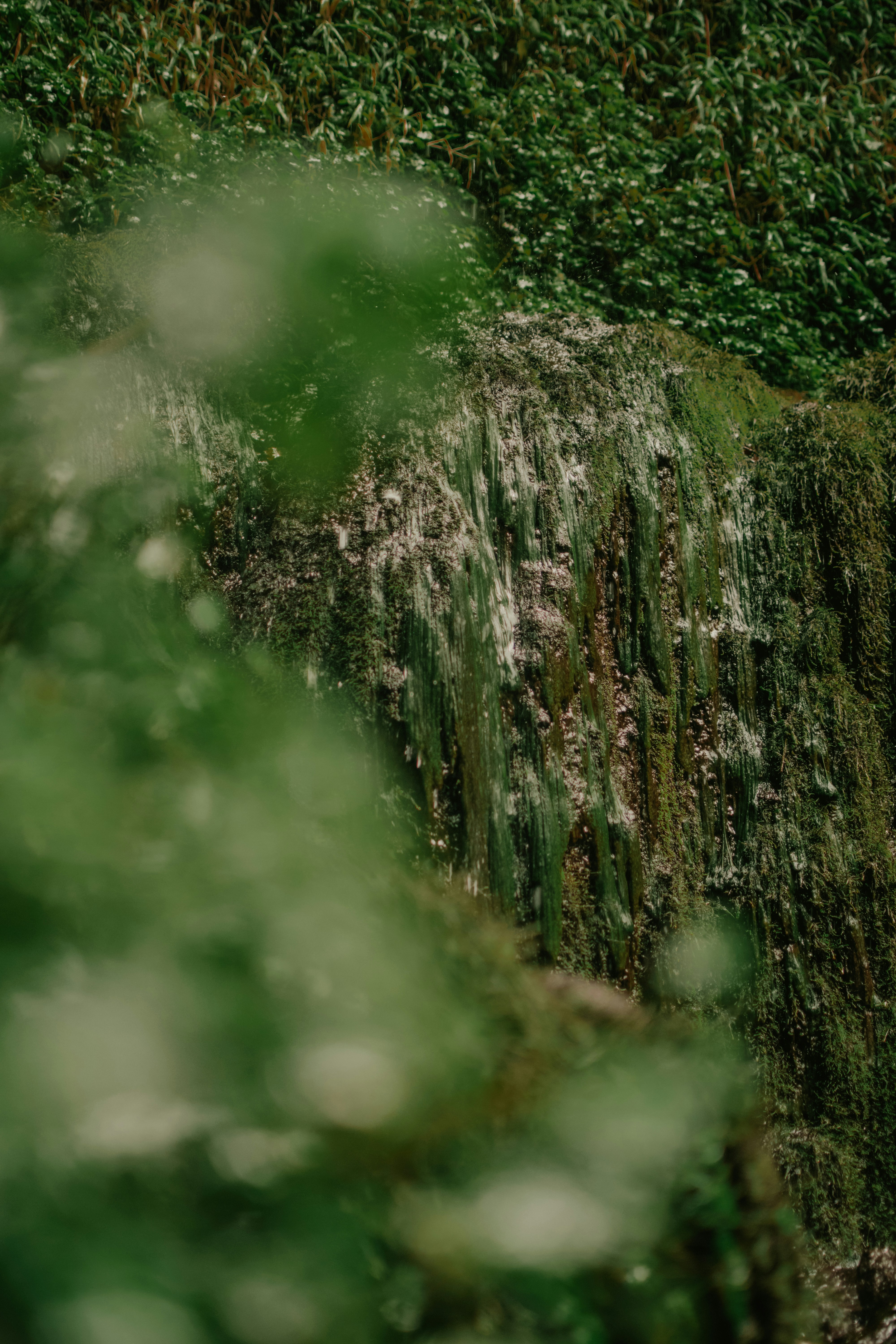 Photo by utunzajiwamazingira