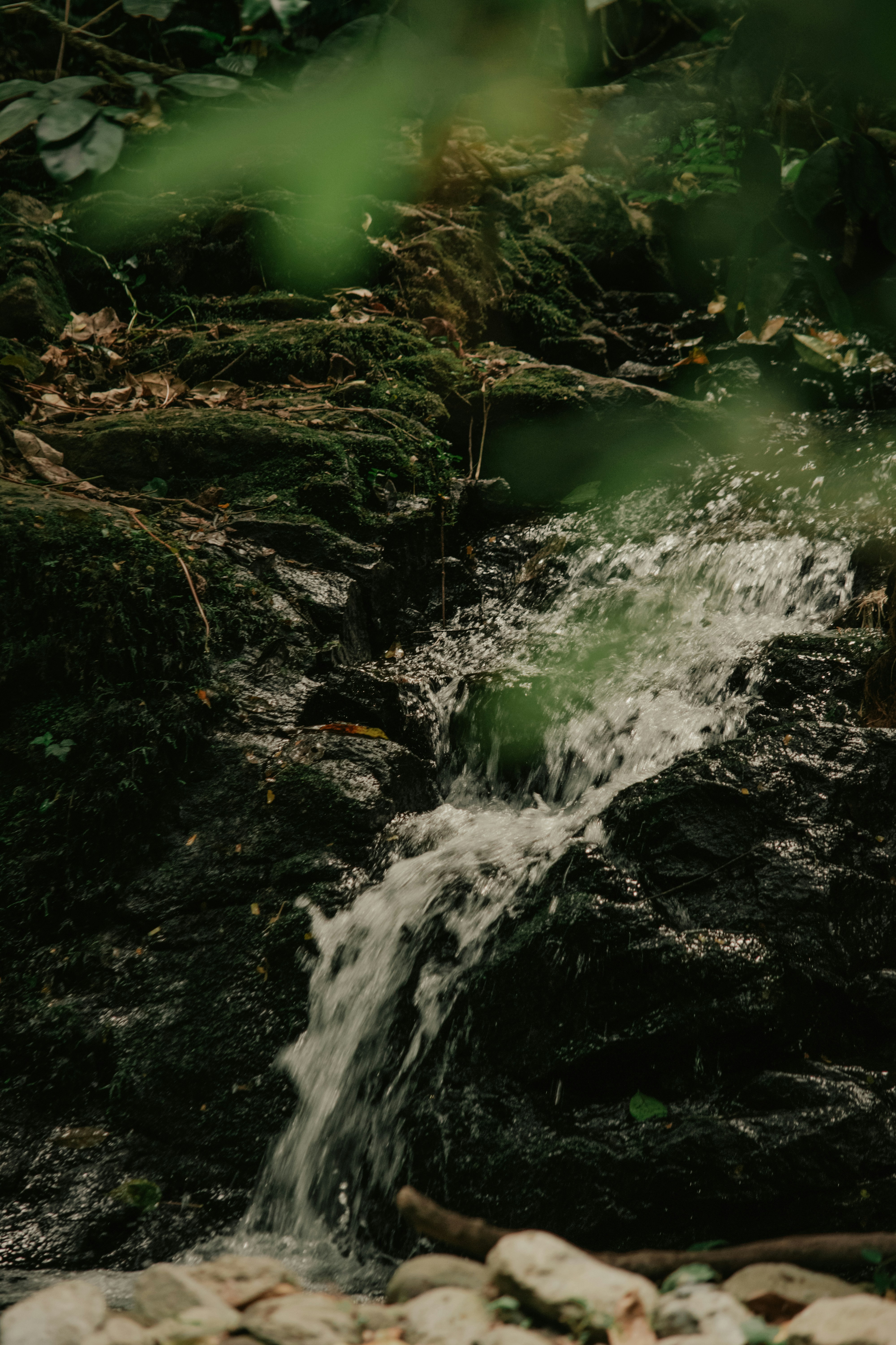 Photo by utunzajiwamazingira